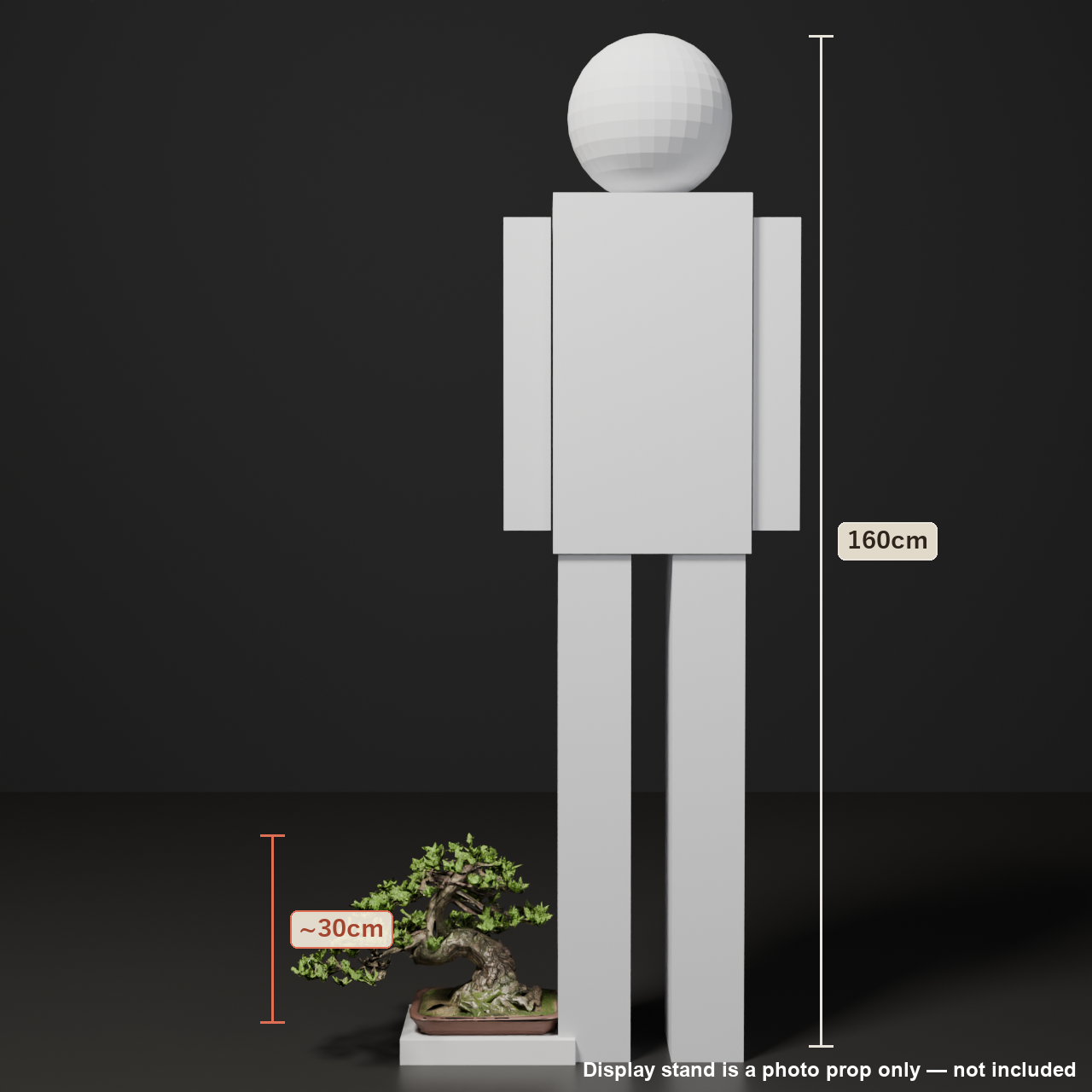 Japanese Bonsai - Black Pine in Slanting-Trunk (Shakan) Style | VRChat World Prop