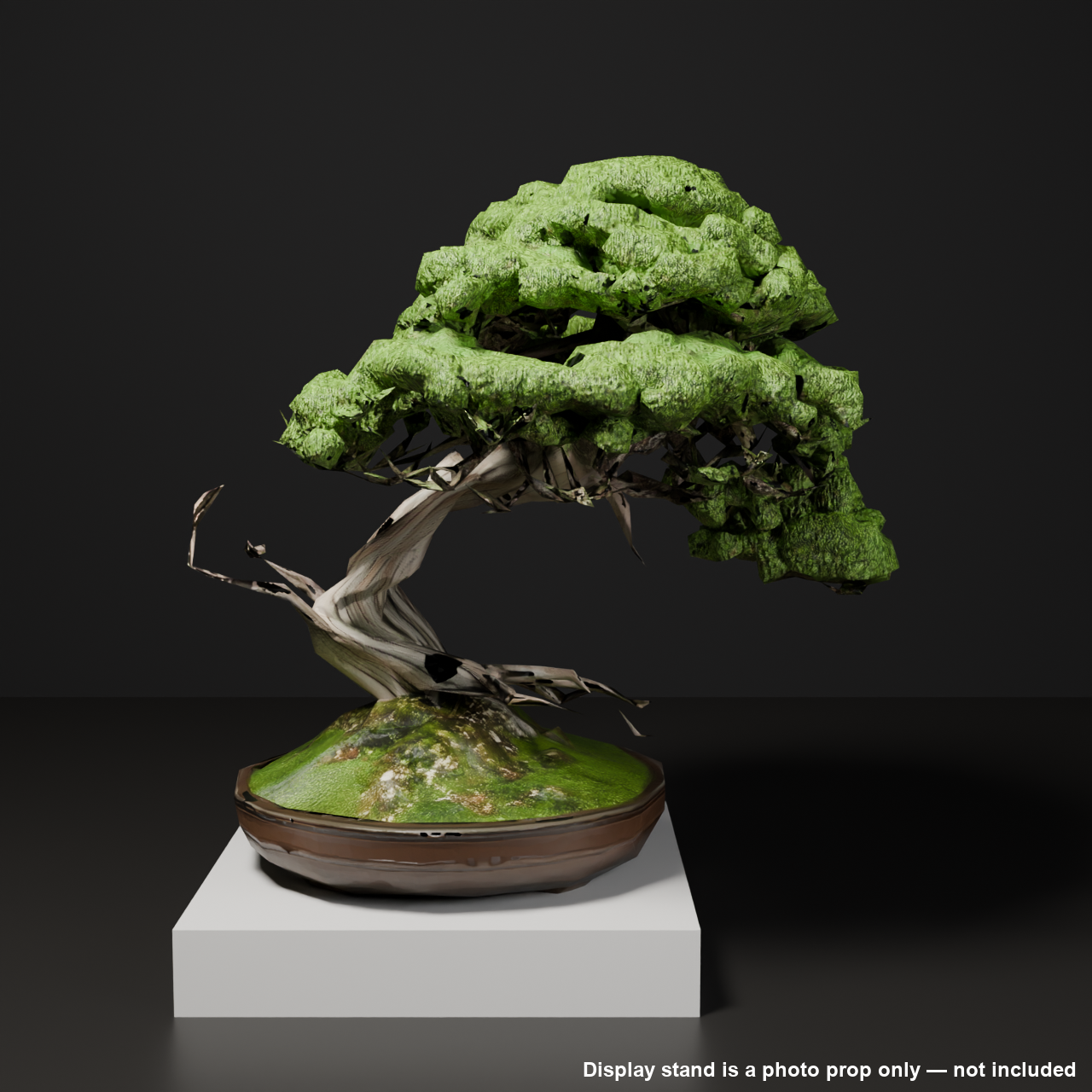 Japanese Bonsai - Shinpaku Juniper with Exposed Roots and Deadwood (Neagari + Shari) | VRChat World Prop