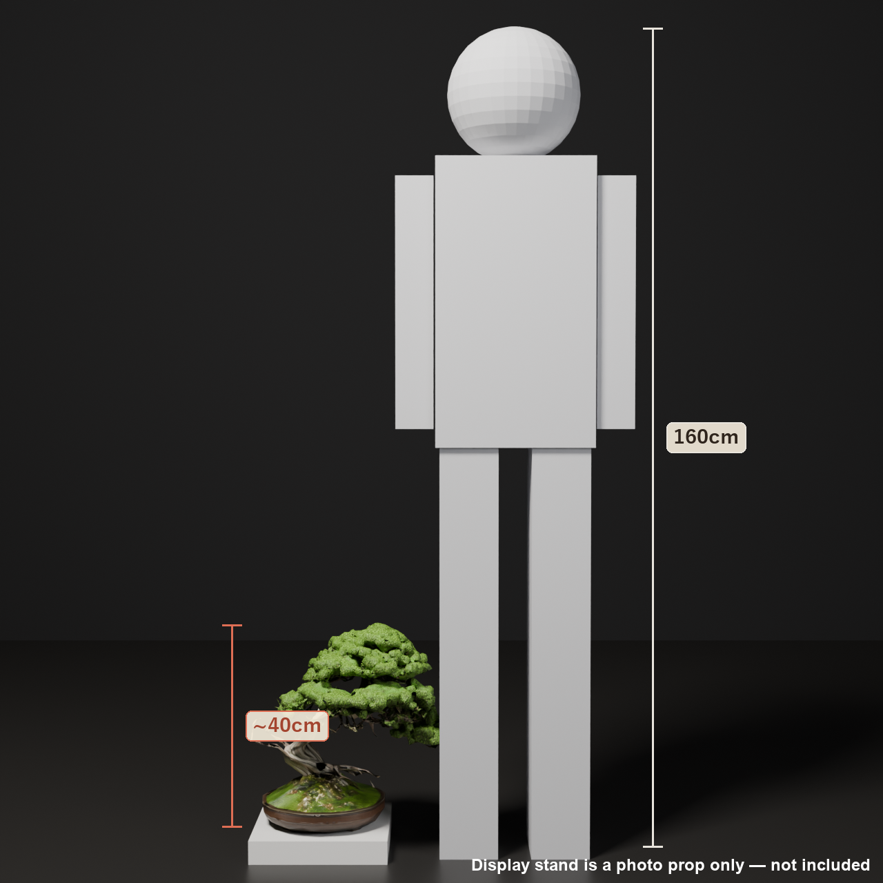 Japanese Bonsai - Shinpaku Juniper with Exposed Roots and Deadwood (Neagari + Shari) | VRChat World Prop