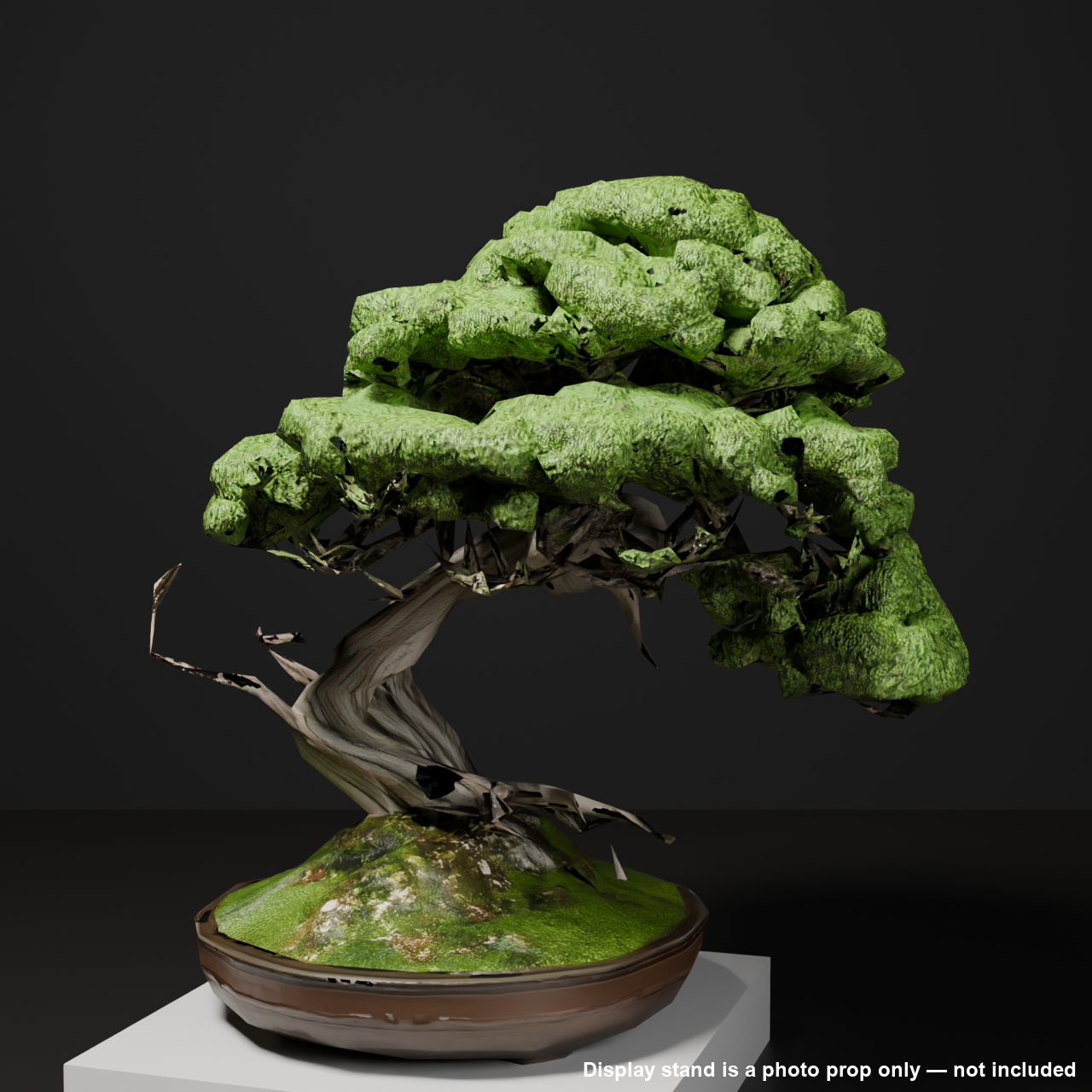 Japanese Bonsai - Shinpaku Juniper with Exposed Roots and Deadwood (Neagari + Shari) | VRChat World Prop