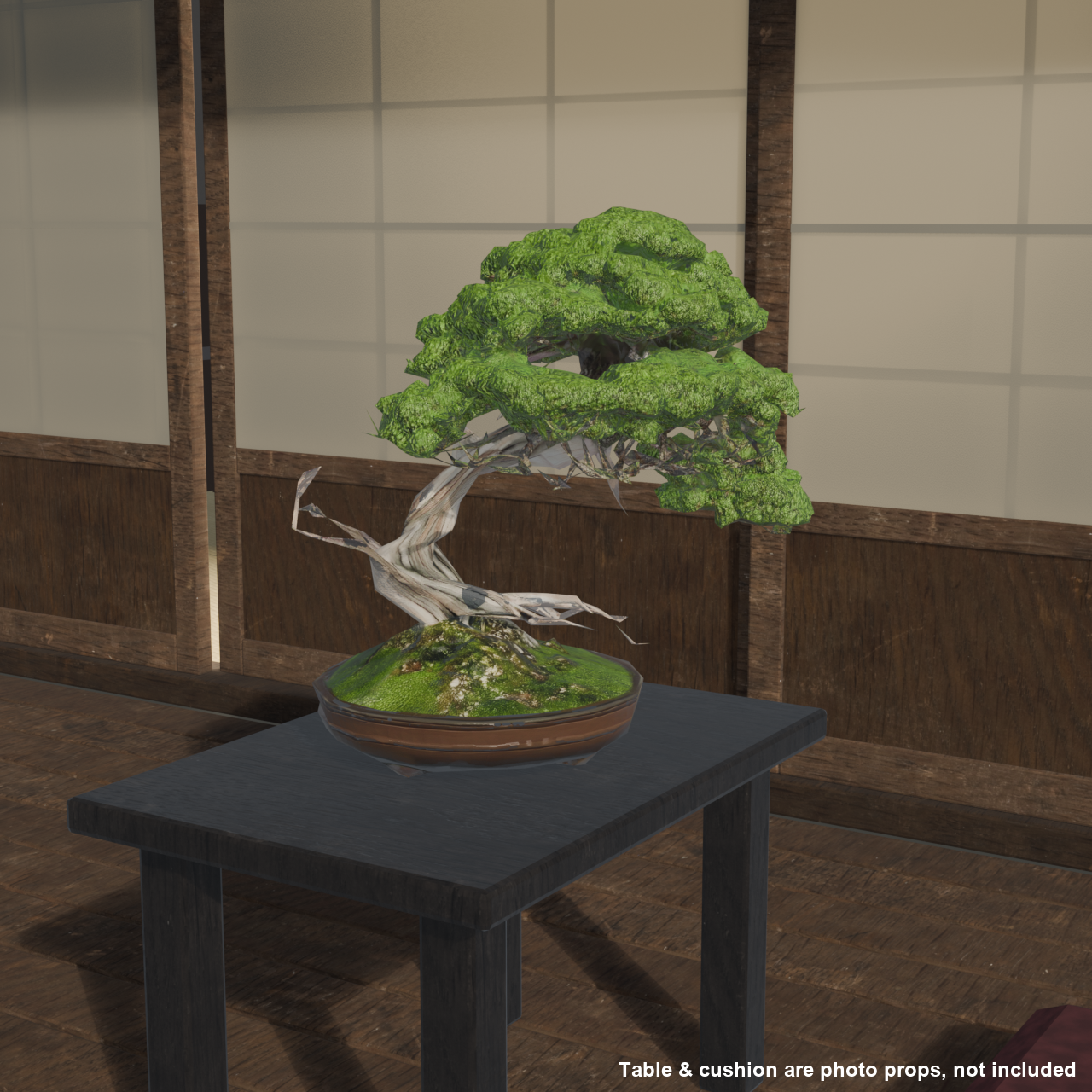 Japanese Bonsai - Shinpaku Juniper with Exposed Roots and Deadwood (Neagari + Shari) | VRChat World Prop