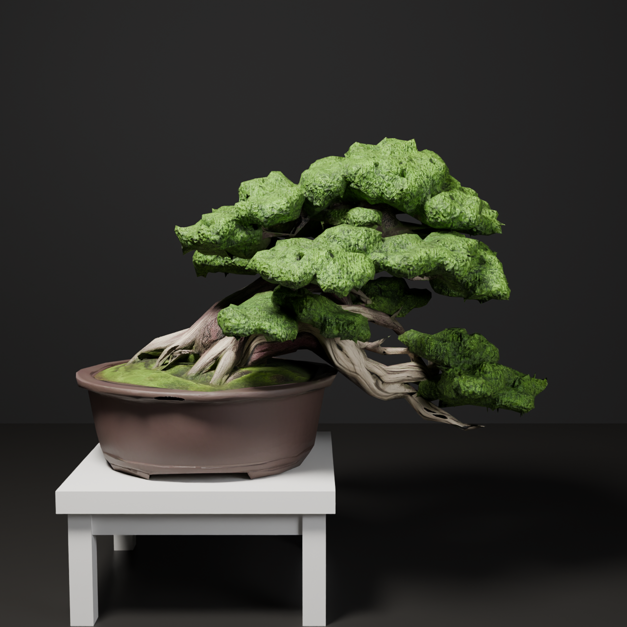 Japanese Bonsai - Shinpaku Juniper in Semi-Cascade Style with Display Stand | VRChat World Prop