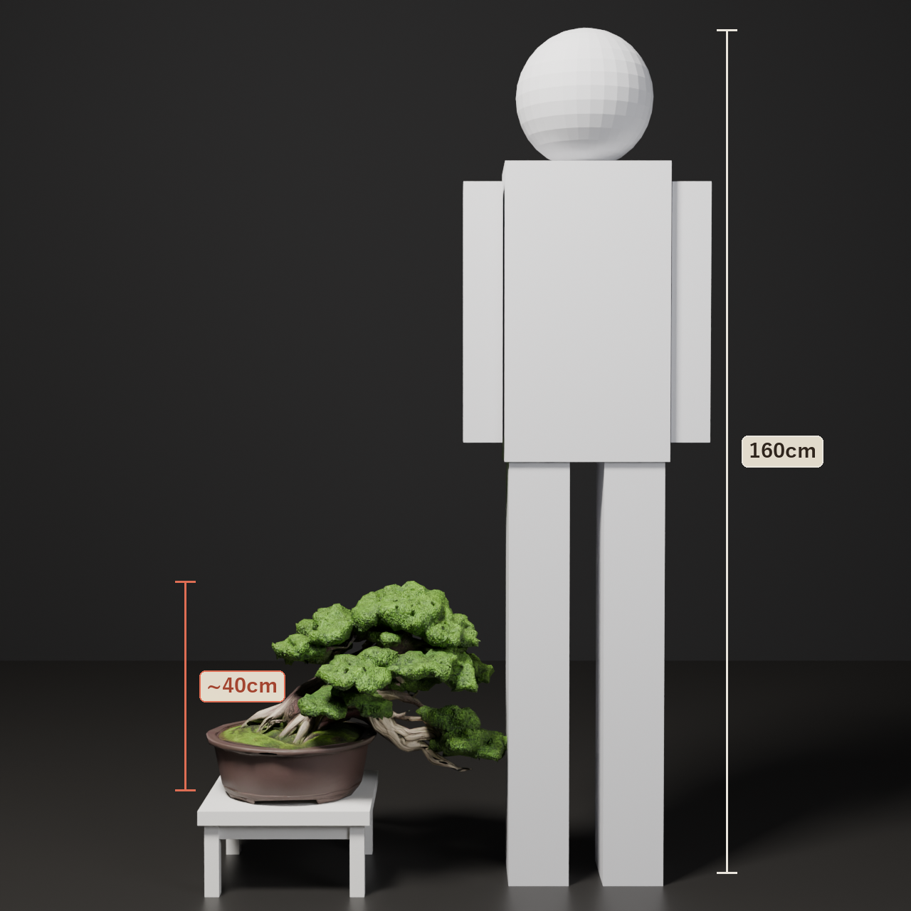 Japanese Bonsai - Shinpaku Juniper in Semi-Cascade Style with Display Stand | VRChat World Prop