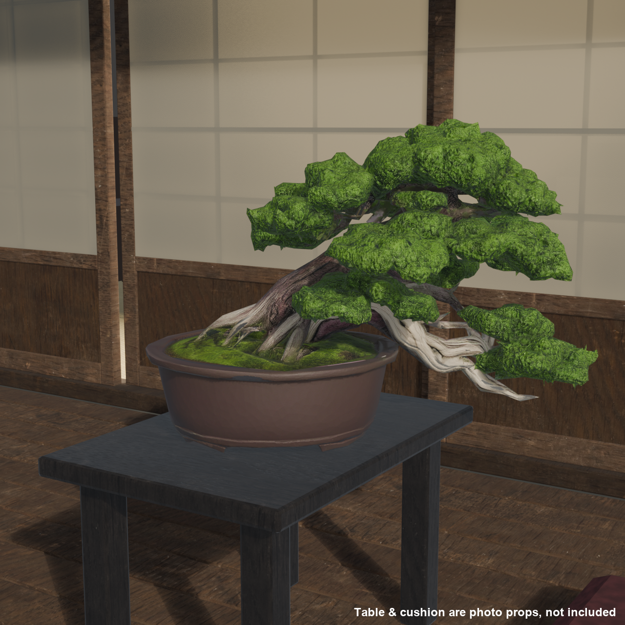 Japanese Bonsai - Shinpaku Juniper in Semi-Cascade Style with Display Stand | VRChat World Prop