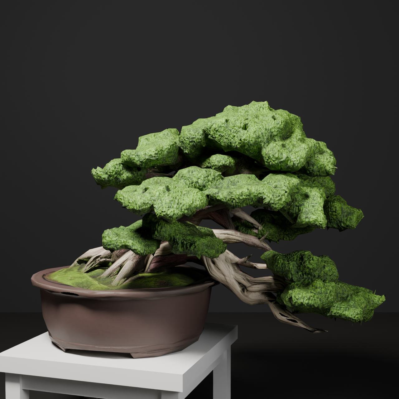 Japanese Bonsai - Shinpaku Juniper in Semi-Cascade Style with Display Stand | VRChat World Prop