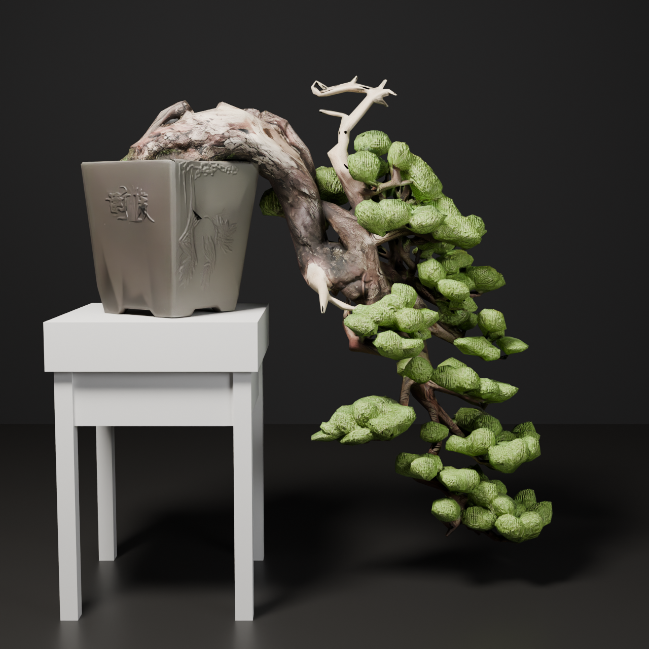 Japanese Bonsai - Black Pine in Full Cascade (Kengai) Style with Display Stand | VRChat World Prop