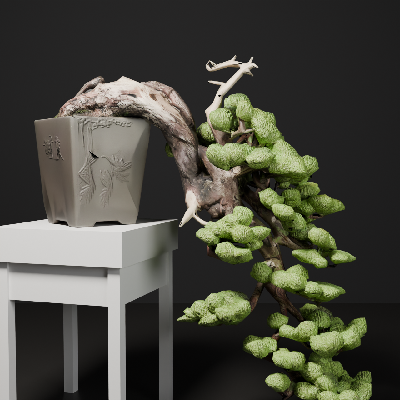Japanese Bonsai - Black Pine in Full Cascade (Kengai) Style with Display Stand | VRChat World Prop