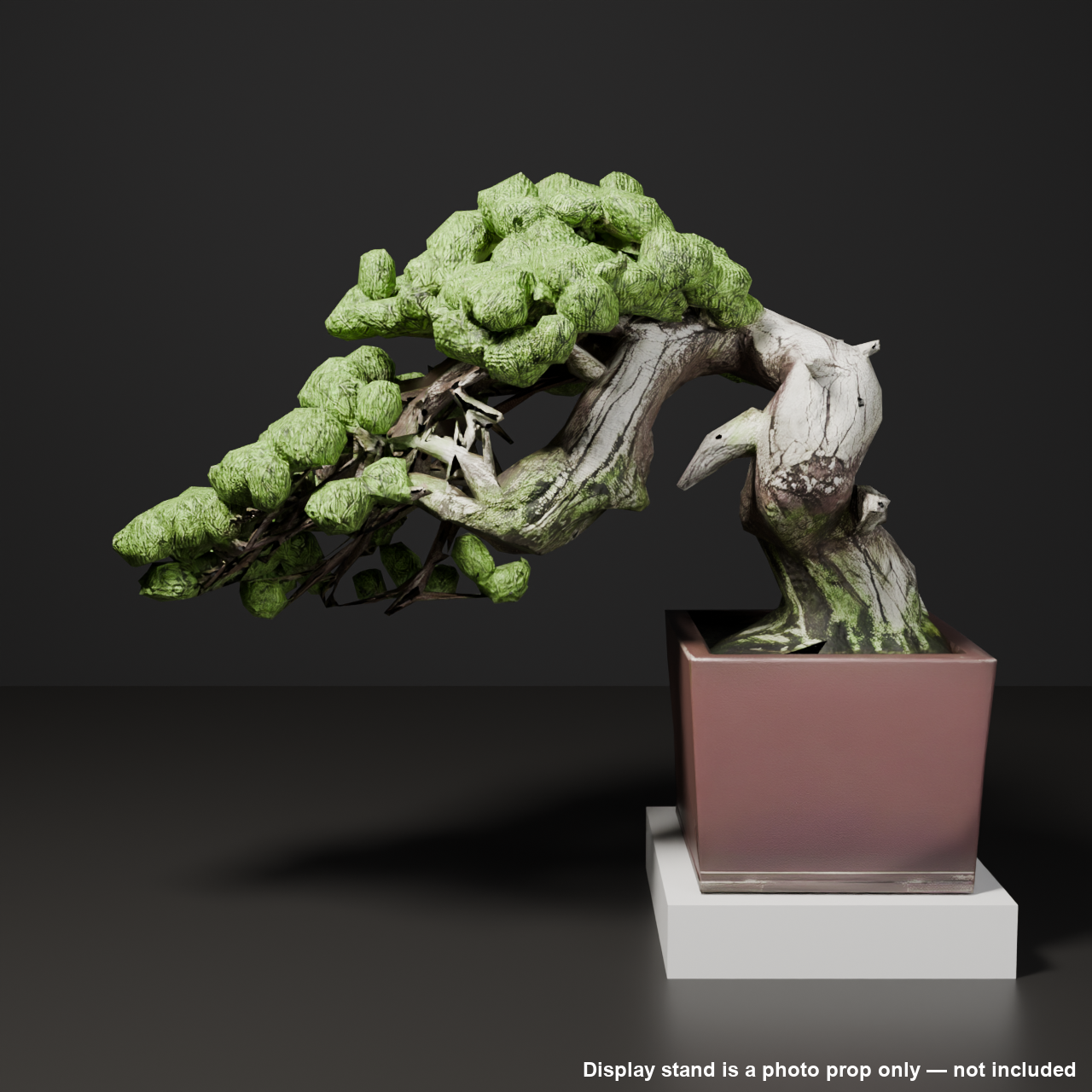 Japanese Bonsai - White Pine with Wide-Spreading Canopy and Deadwood Trunk | VRChat World Prop