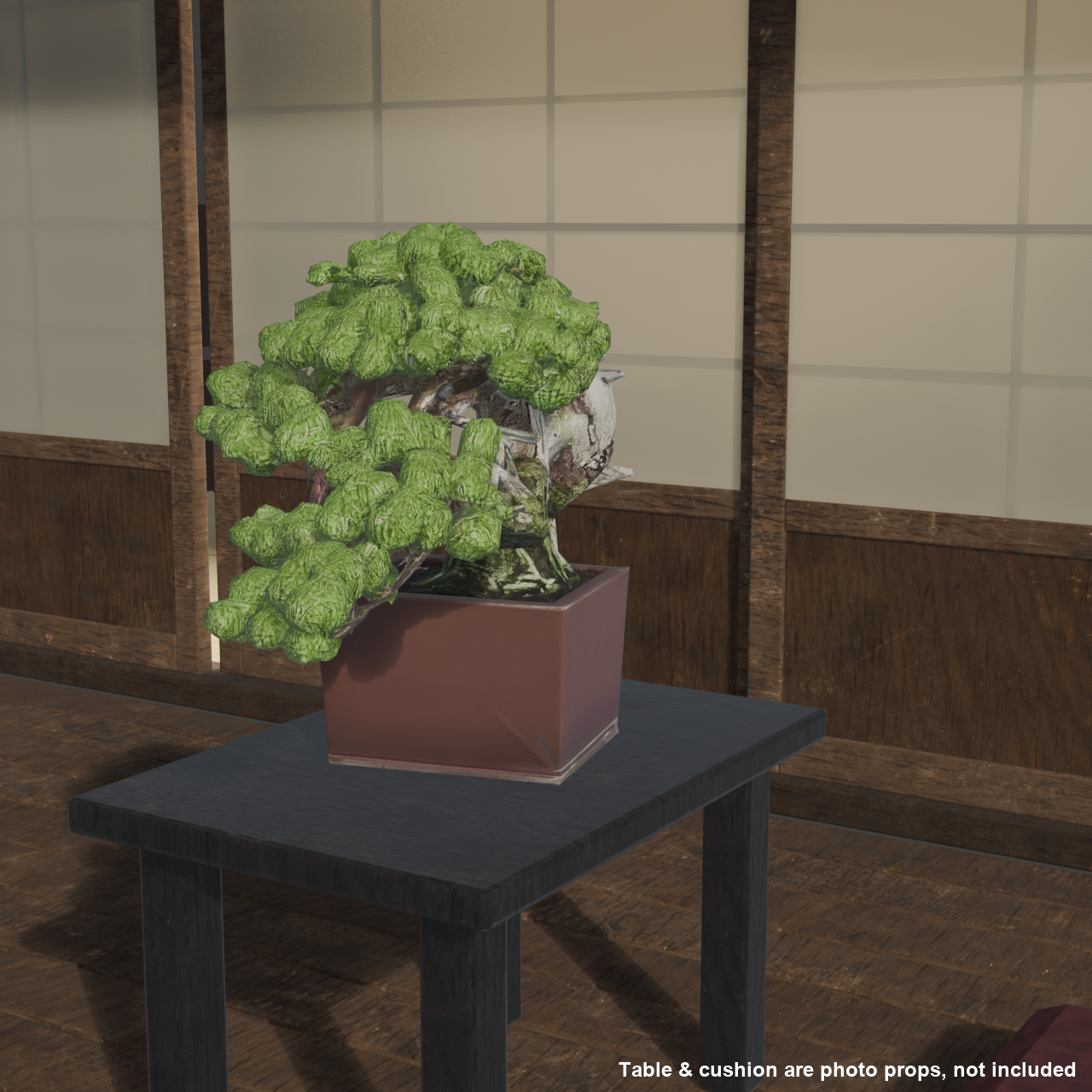 Japanese Bonsai - White Pine with Wide-Spreading Canopy and Deadwood Trunk | VRChat World Prop
