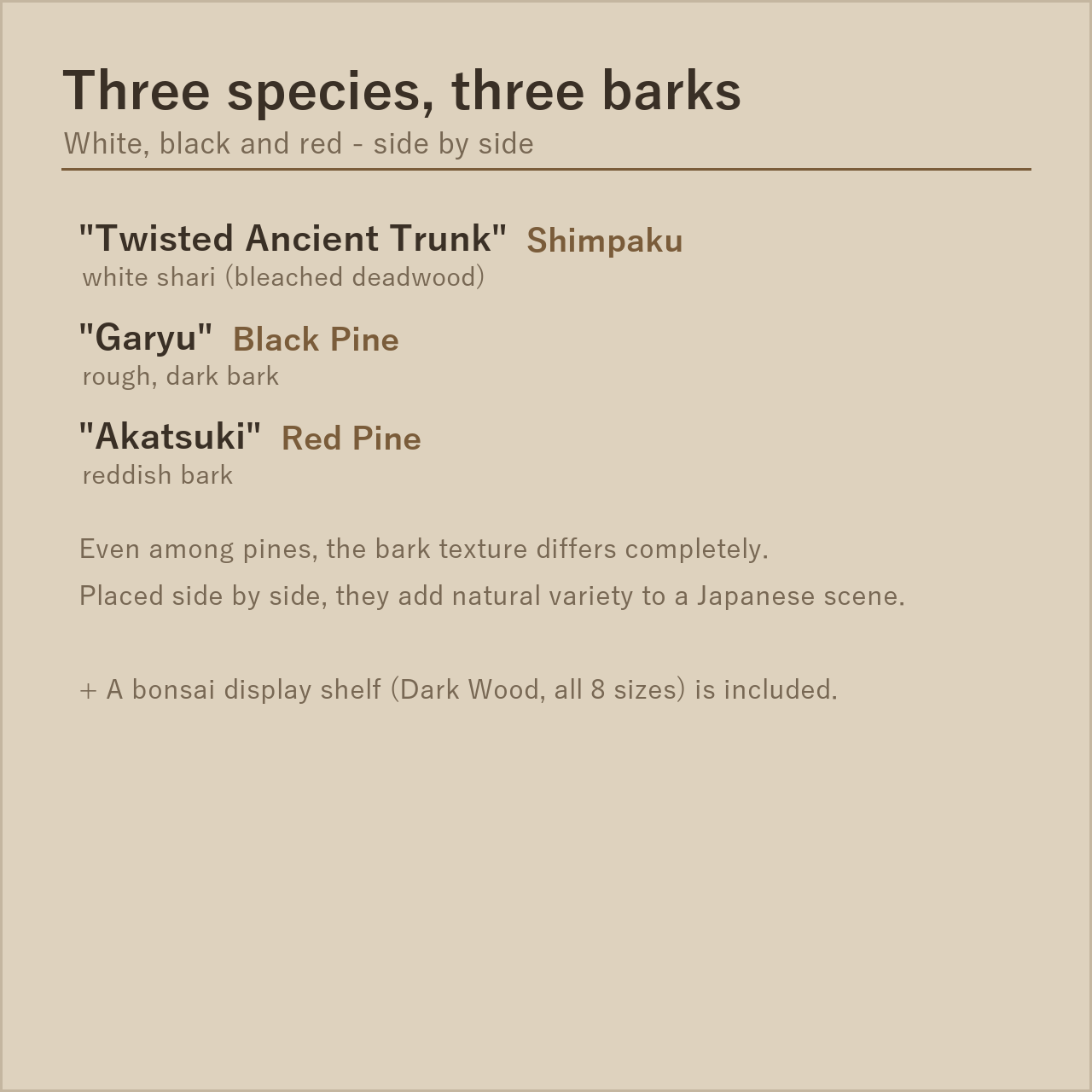 Bonsai Trio Set - Shimpaku, Black Pine, Red Pine + Display Shelf | VRChat World Prop