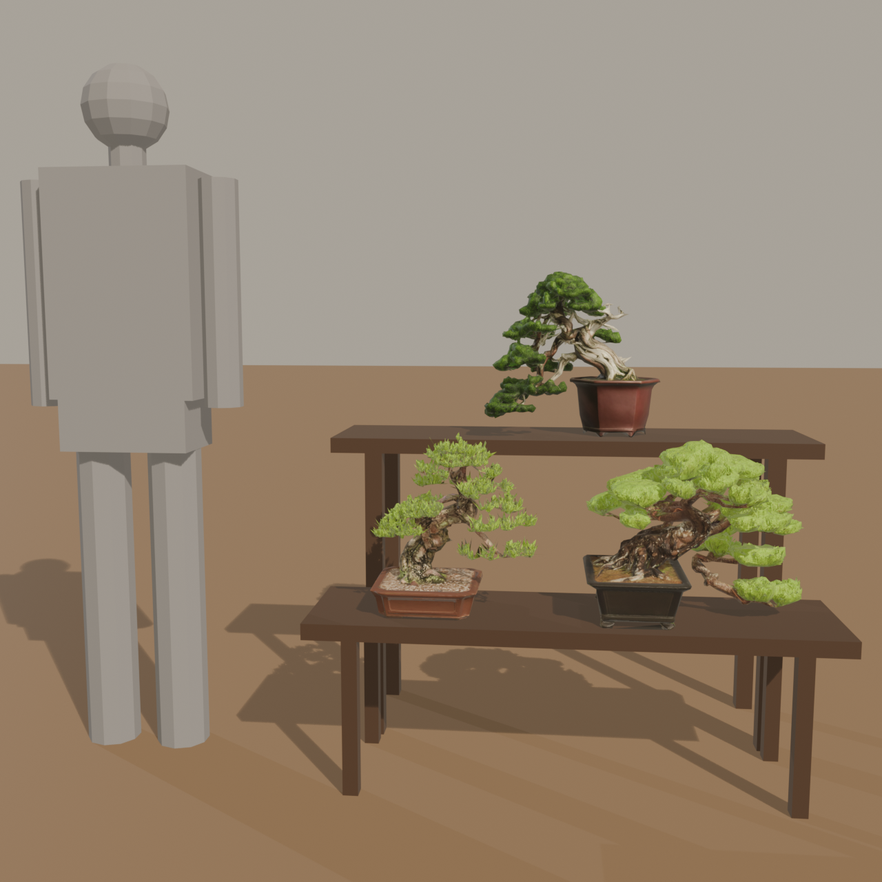 Bonsai Trio Set - Shimpaku, Black Pine, Red Pine + Display Shelf | VRChat World Prop