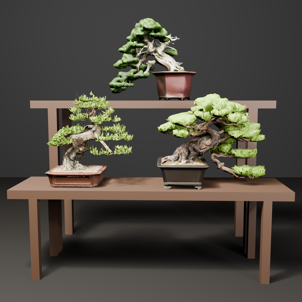 Bonsai Trio Set - Shimpaku, Black Pine, Red Pine + Display Shelf | VRChat World Prop