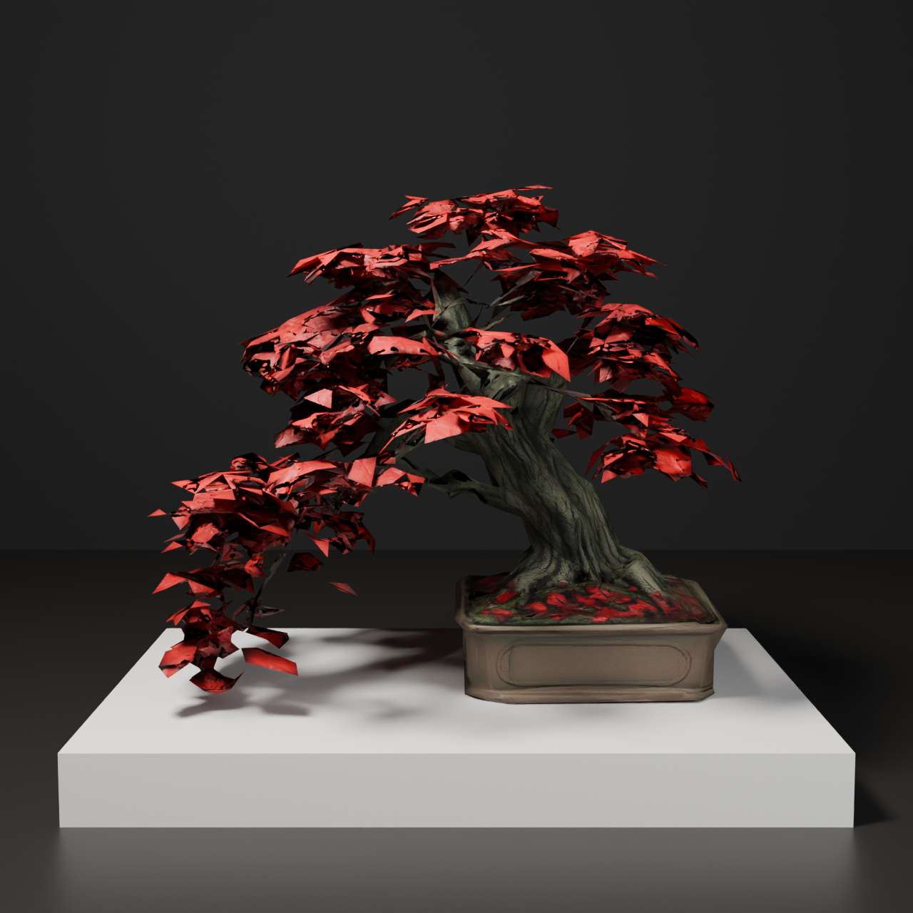 Japanese Bonsai - Japanese Maple with Wide-Spreading Branches and Autumn Foliage | VRChat World Prop