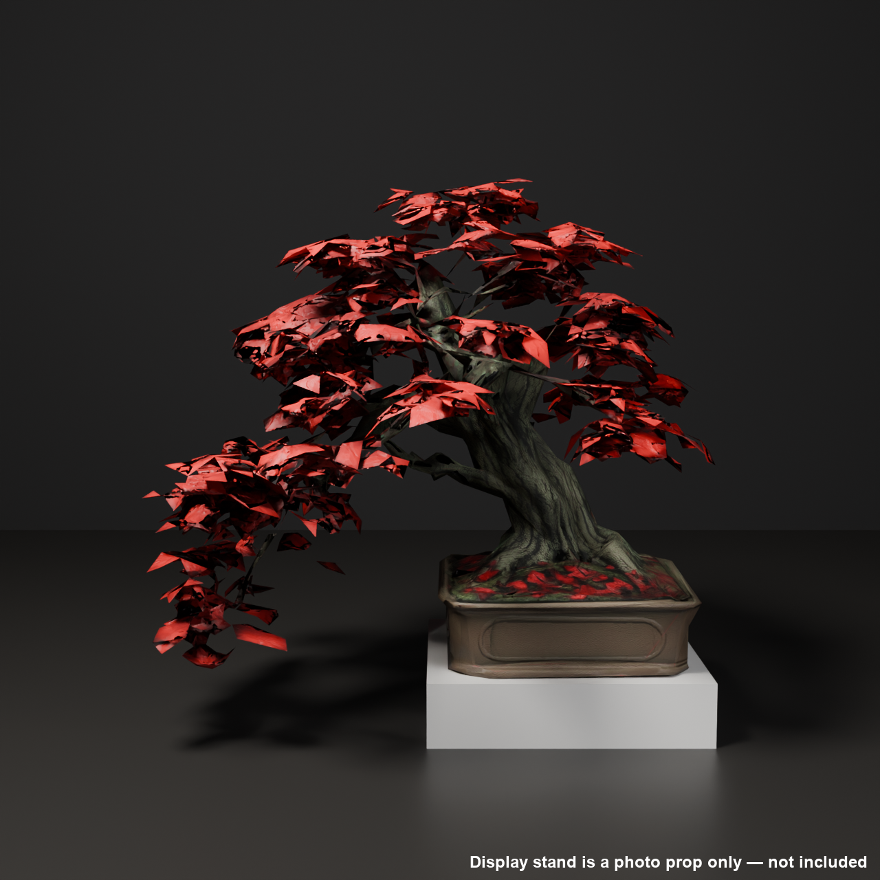 Japanese Bonsai - Japanese Maple with Wide-Spreading Branches and Autumn Foliage | VRChat World Prop