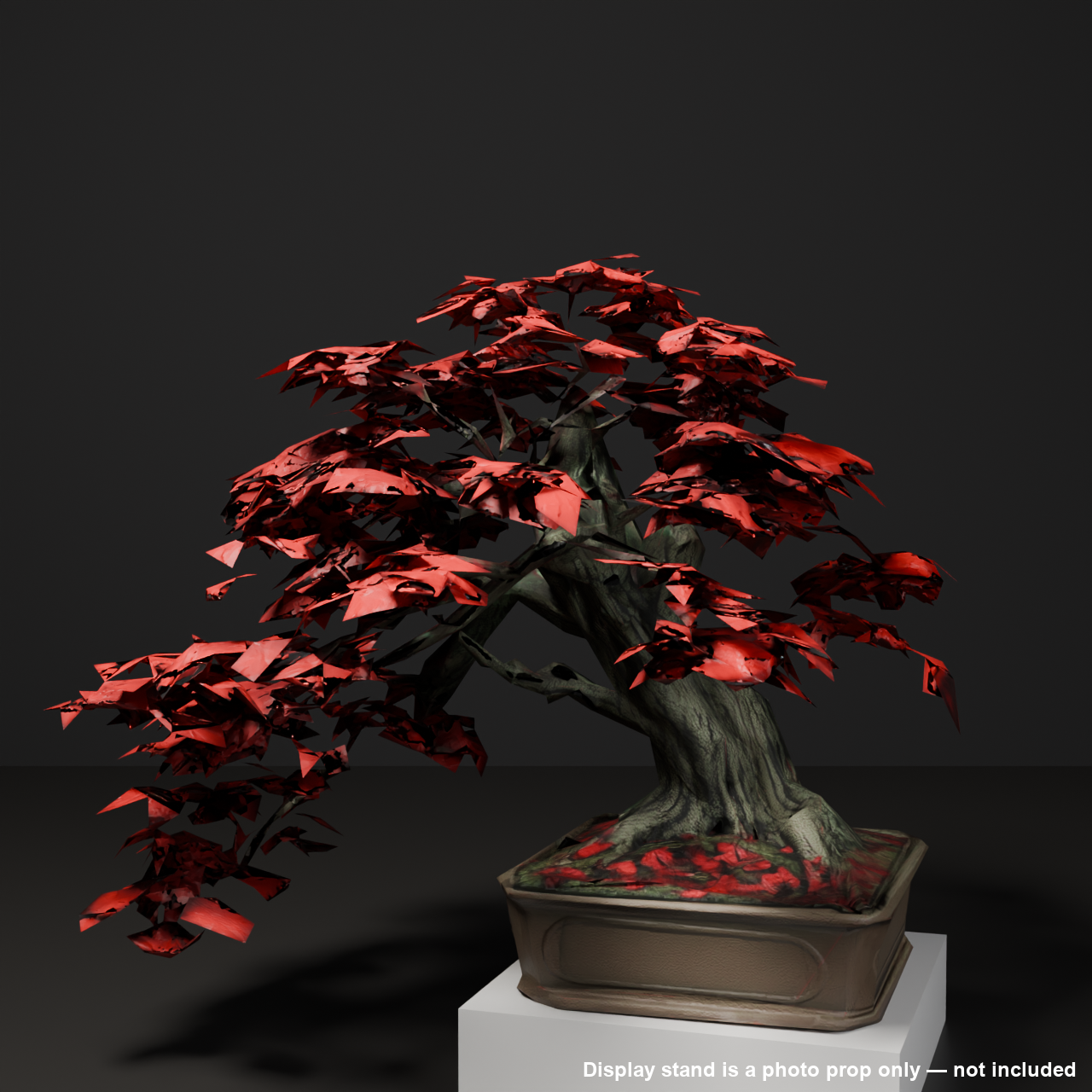 Japanese Bonsai - Japanese Maple with Wide-Spreading Branches and Autumn Foliage | VRChat World Prop