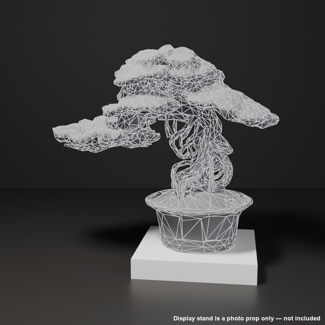 Japanese Bonsai - Black Pine with Twisting Exposed Roots (Banryu) | VRChat World Prop