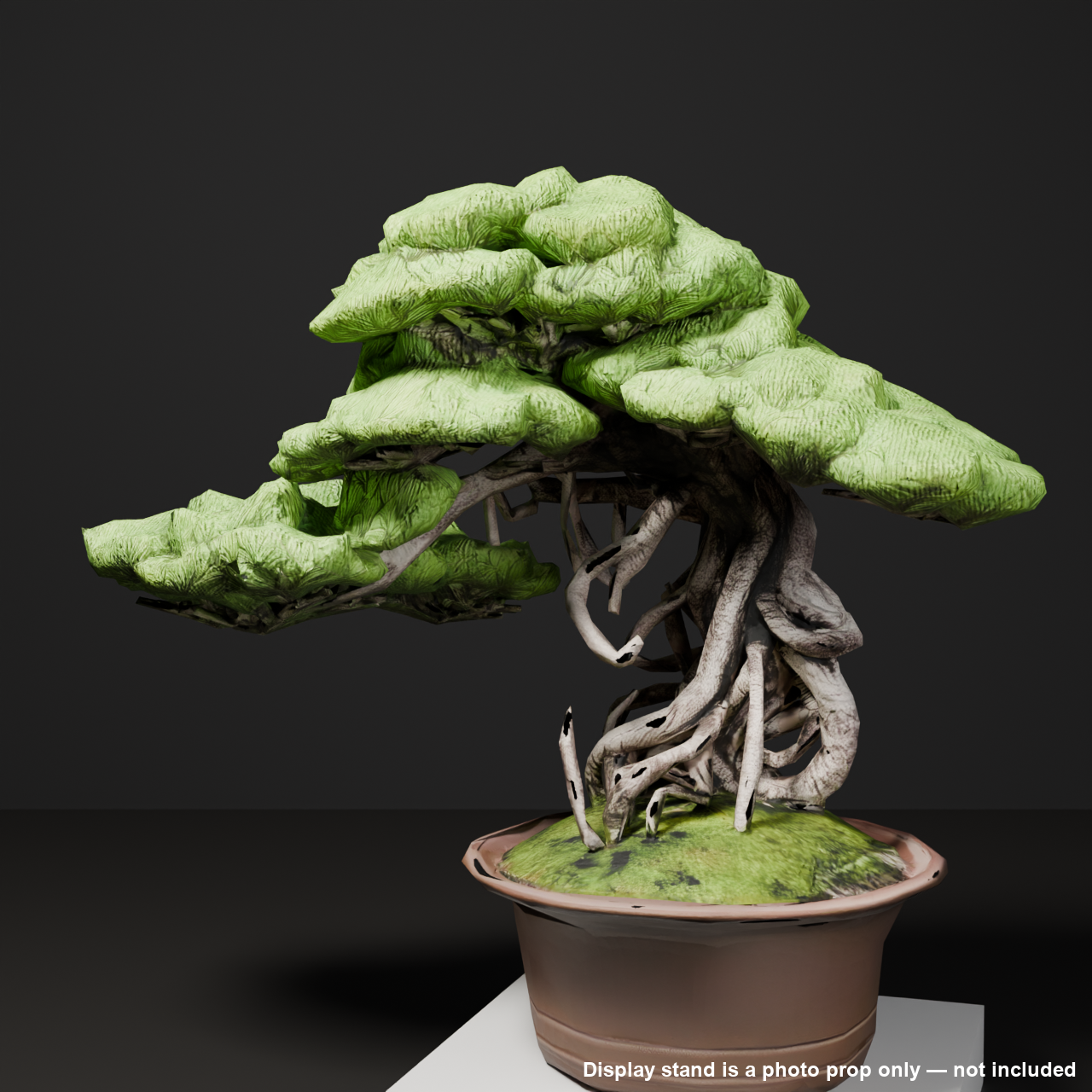 Japanese Bonsai - Black Pine with Twisting Exposed Roots (Banryu) | VRChat World Prop