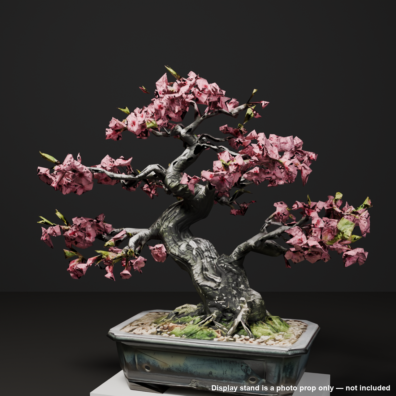 Japanese Bonsai - Cherry Blossom Tree with Layered Double Blooms (Hanagumo) | VRChat World Prop