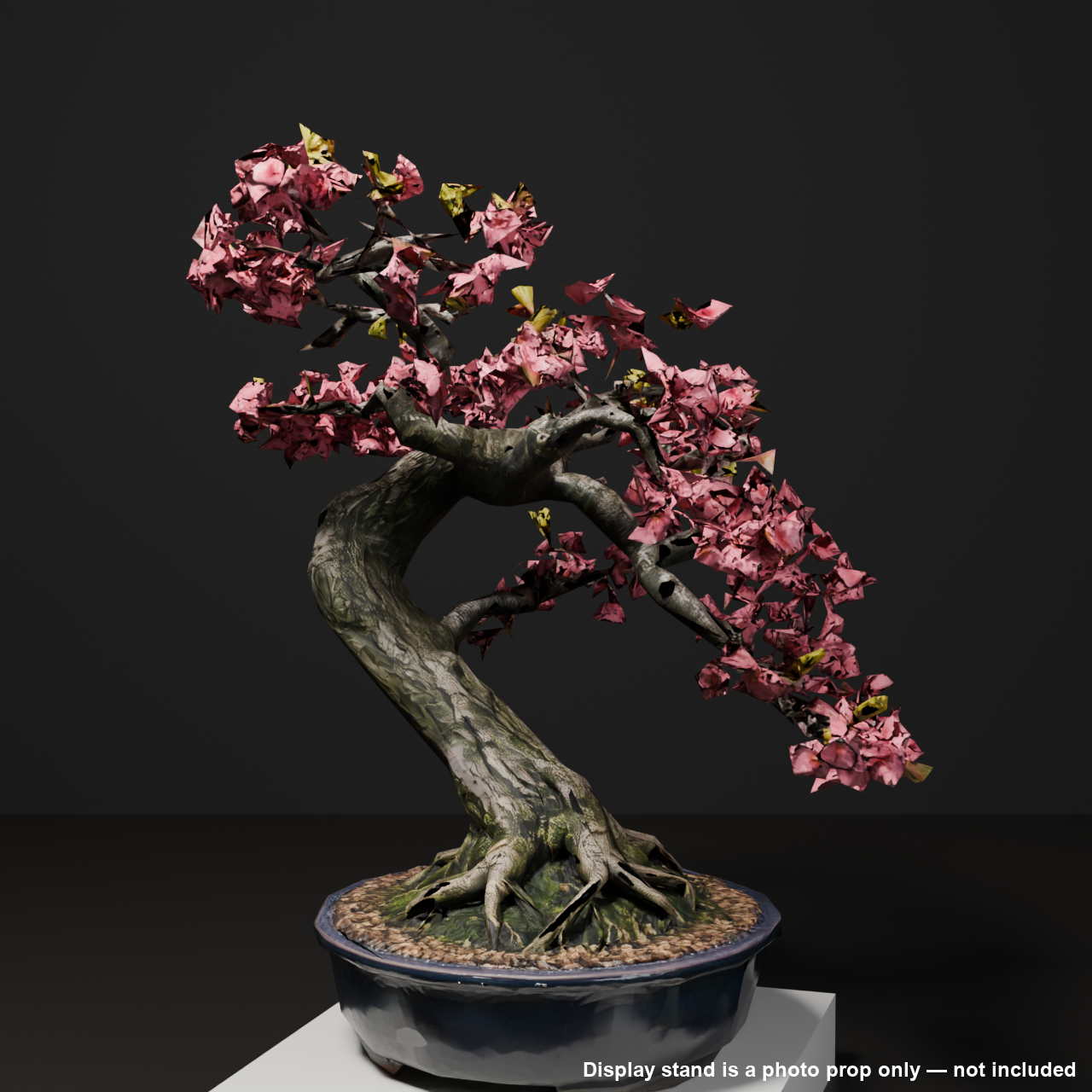 Japanese Bonsai - Windswept Cherry Blossom Tree (Hanafubuki) | VRChat World Prop