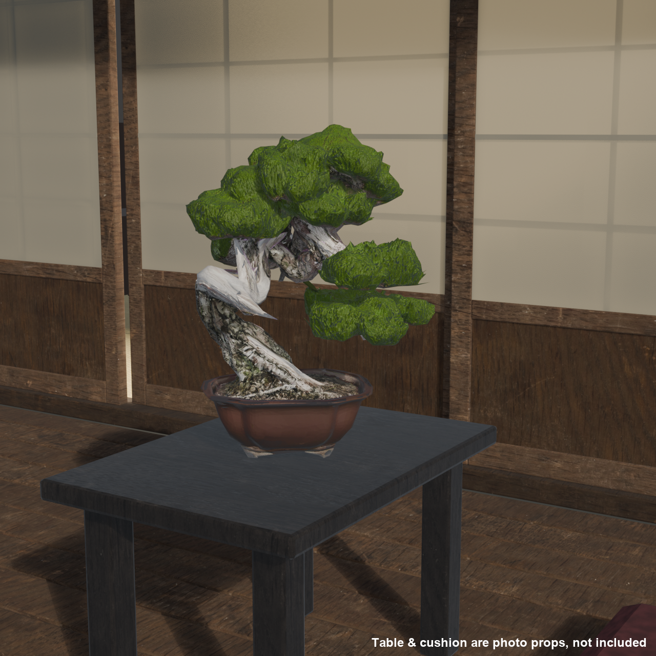 Japanese Bonsai - Black Pine with White Deadwood Branch (Setsurei) | VRChat World Prop