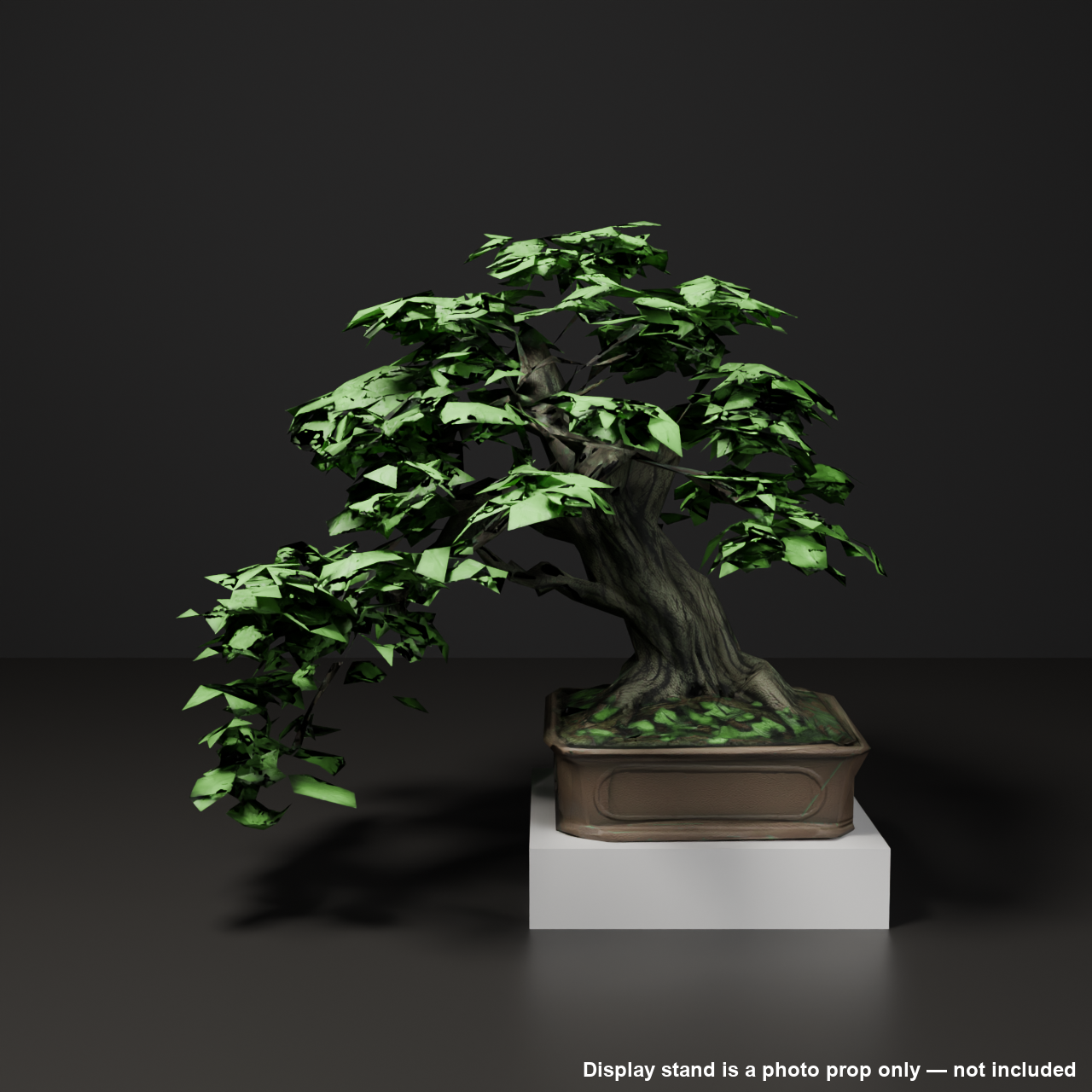 Japanese Bonsai - Japanese Maple with Fresh Green Summer Foliage (Hekiun) | VRChat World Prop