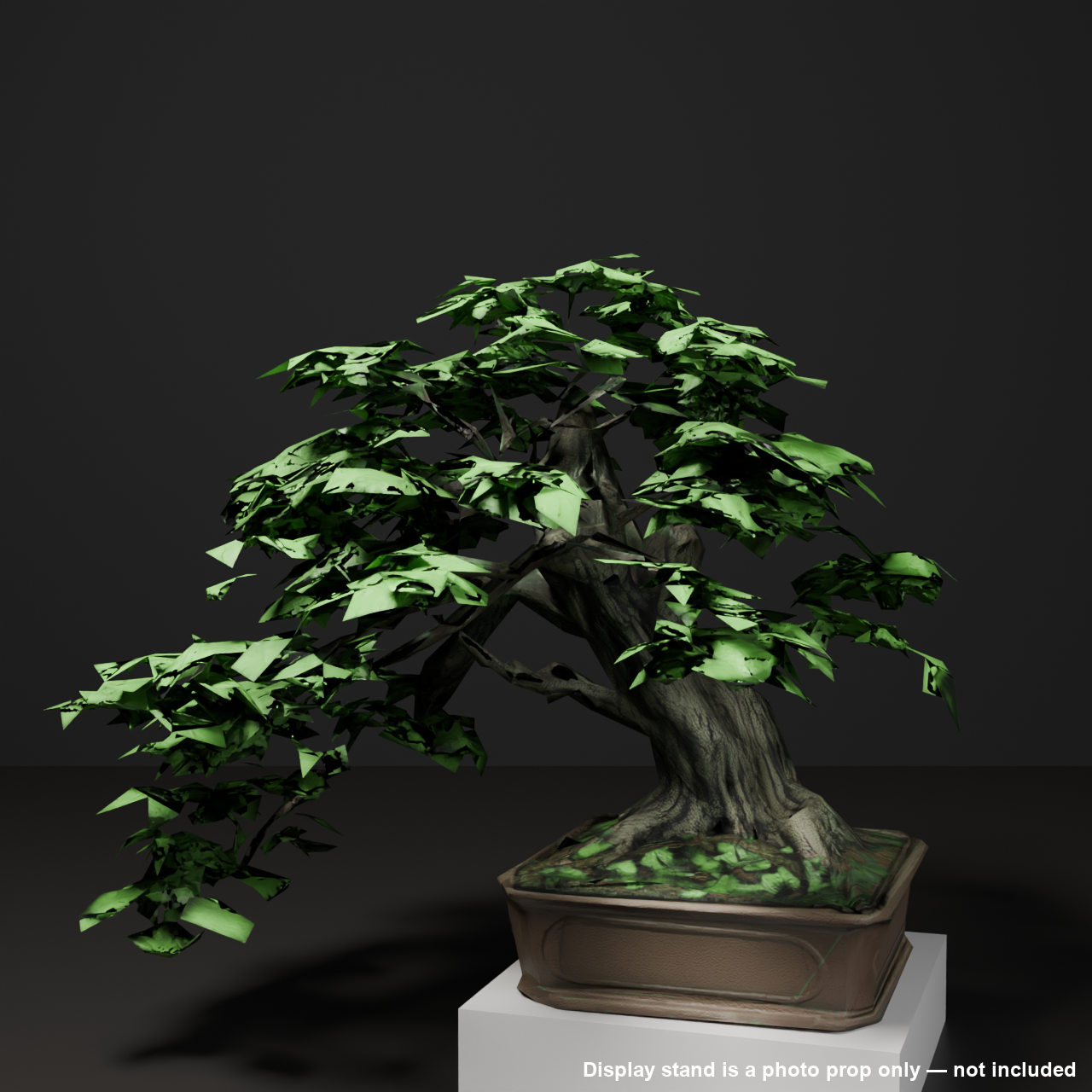 Japanese Bonsai - Japanese Maple with Fresh Green Summer Foliage (Hekiun) | VRChat World Prop