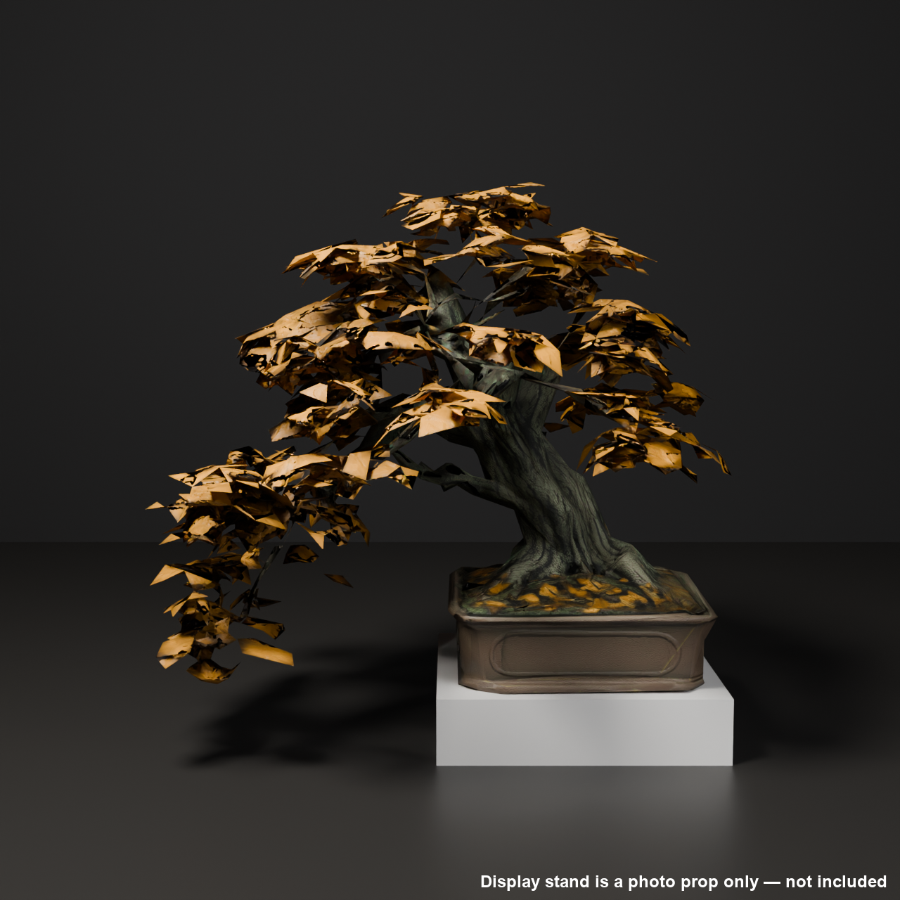 Japanese Bonsai - Japanese Maple with Golden Late-Autumn Foliage (Kinun) | VRChat World Prop