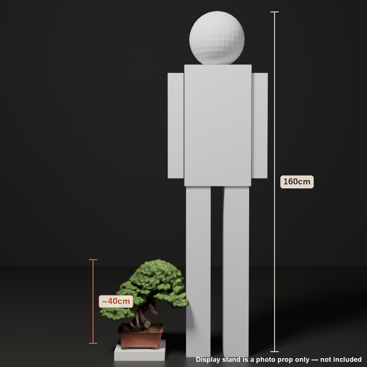 Japanese Bonsai - Large Shimpaku Juniper with Domed Canopy (Suigai) | VRChat World Prop