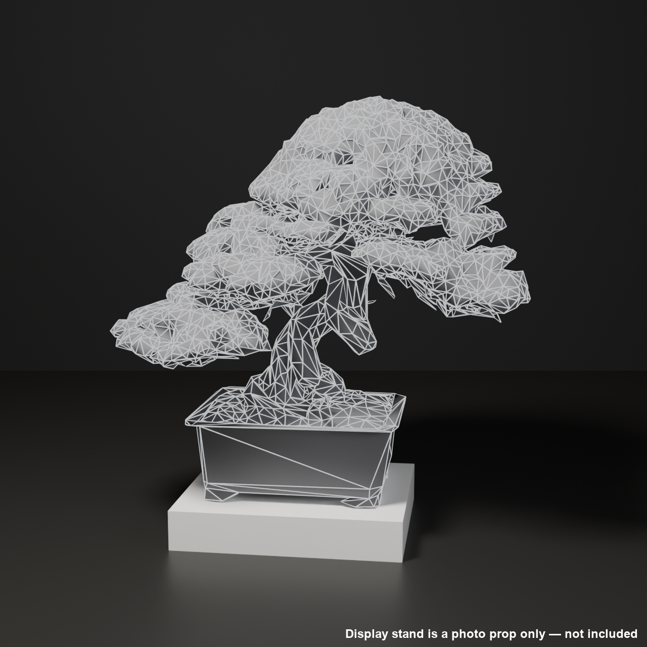Japanese Bonsai - Large Shimpaku Juniper with Domed Canopy (Suigai) | VRChat World Prop
