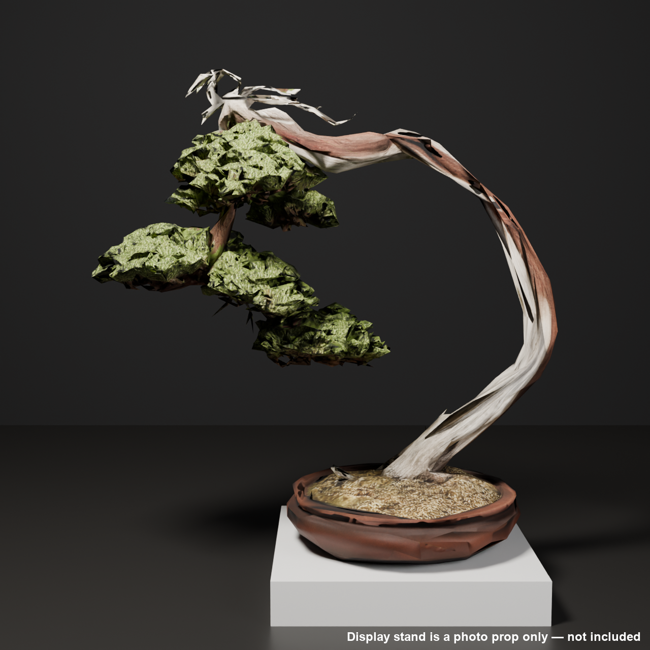 Japanese Bonsai - Large Windswept Shimpaku Juniper (Hagoromo) | VRChat World Prop