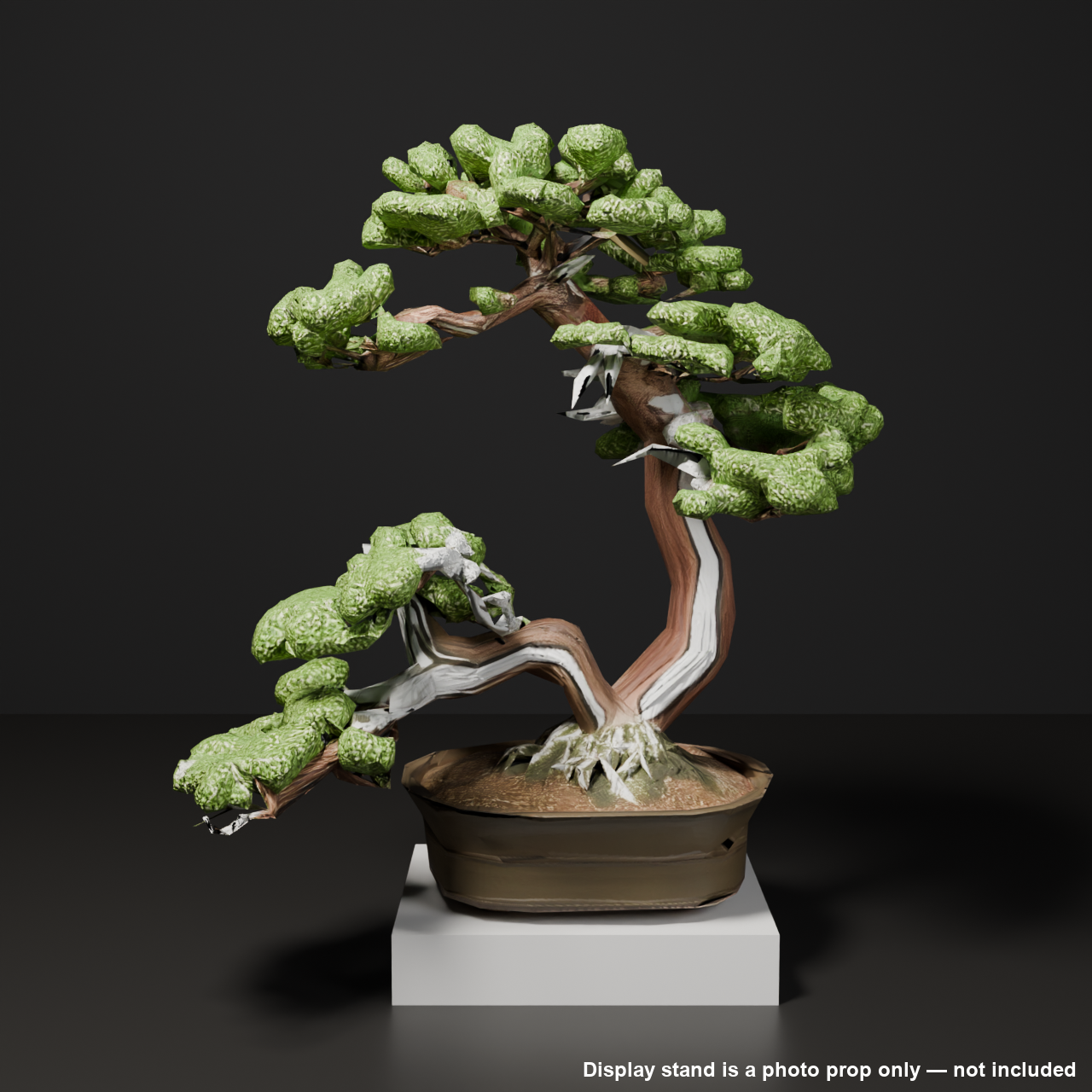 Japanese Bonsai - Large Shimpaku Juniper Twin Trunk with Shari (Hiyoku) | VRChat World Prop