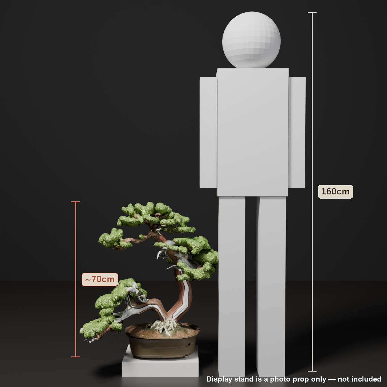 Japanese Bonsai - Large Shimpaku Juniper Twin Trunk with Shari (Hiyoku) | VRChat World Prop