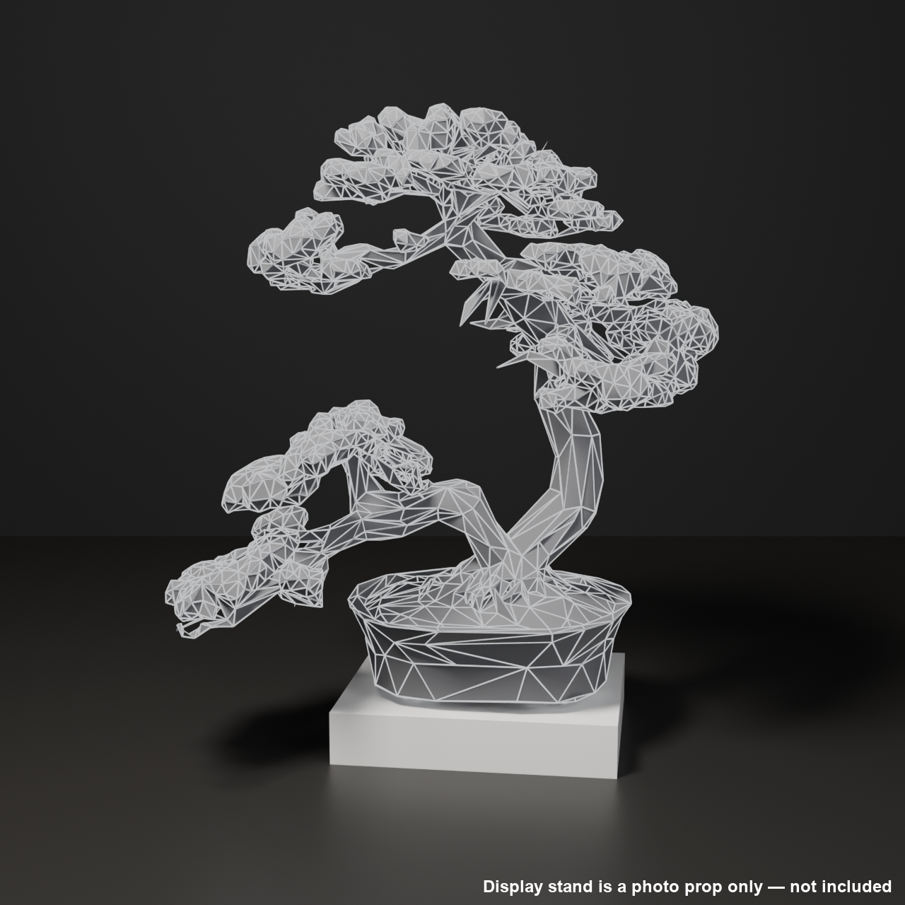 Japanese Bonsai - Large Shimpaku Juniper Twin Trunk with Shari (Hiyoku) | VRChat World Prop