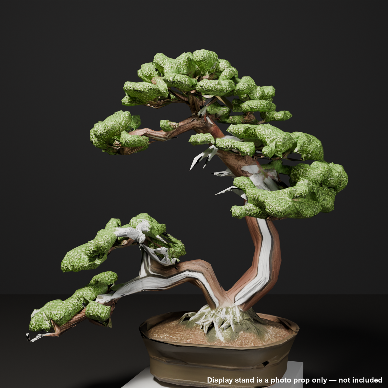 Japanese Bonsai - Large Shimpaku Juniper Twin Trunk with Shari (Hiyoku) | VRChat World Prop
