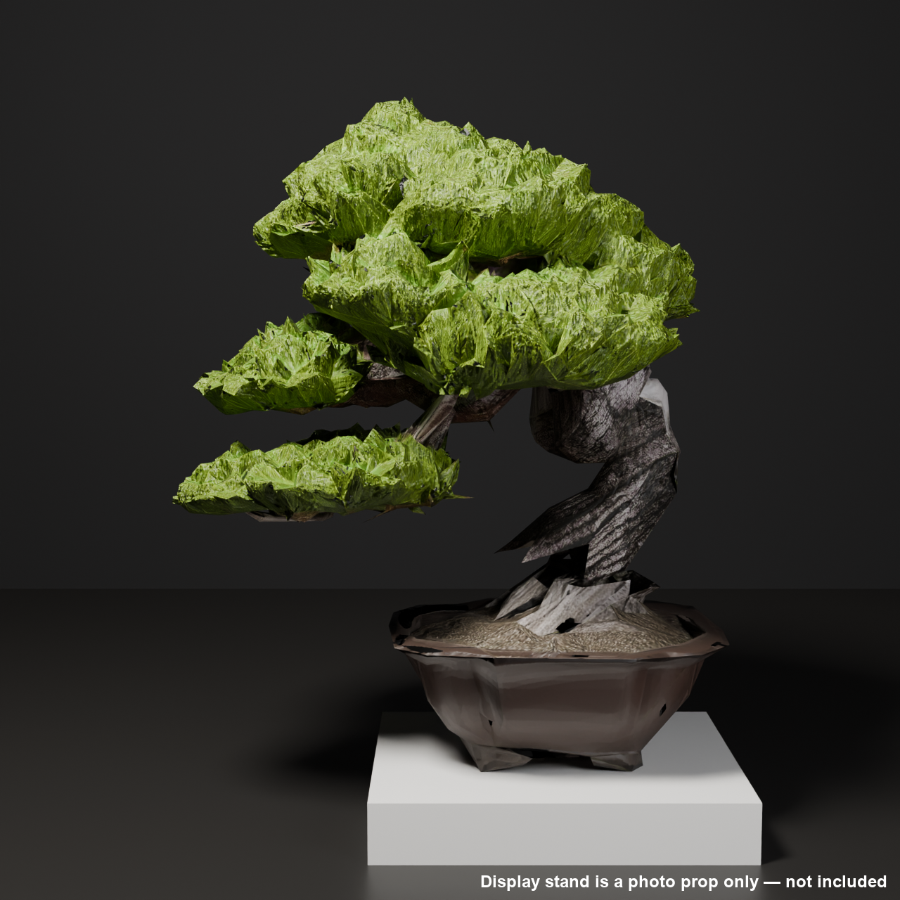 Japanese Bonsai - Large Black Pine with Jin Branch (Ginrei) | VRChat World Prop
