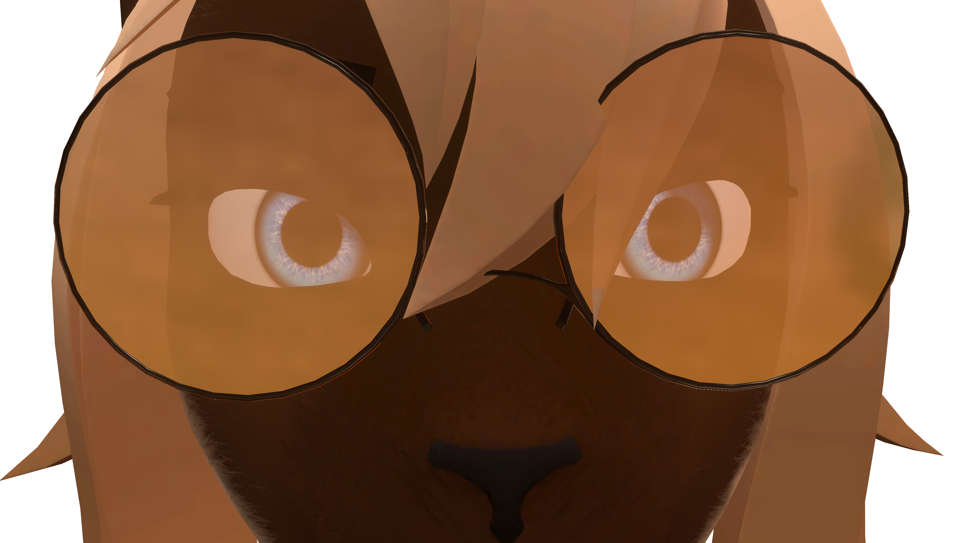 Banner Background