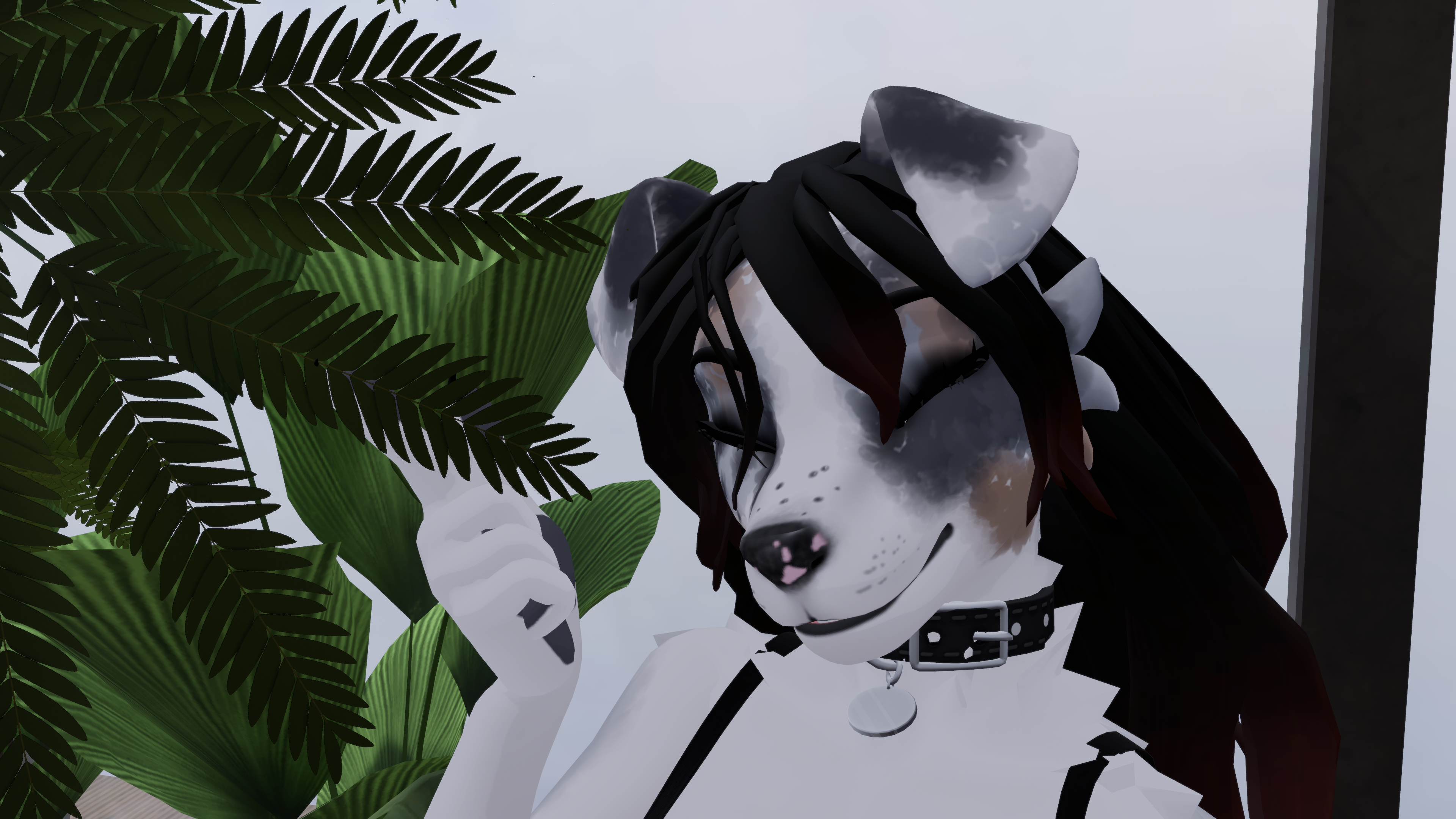 Winterpaw Fem Canine Blue Merle Texture
