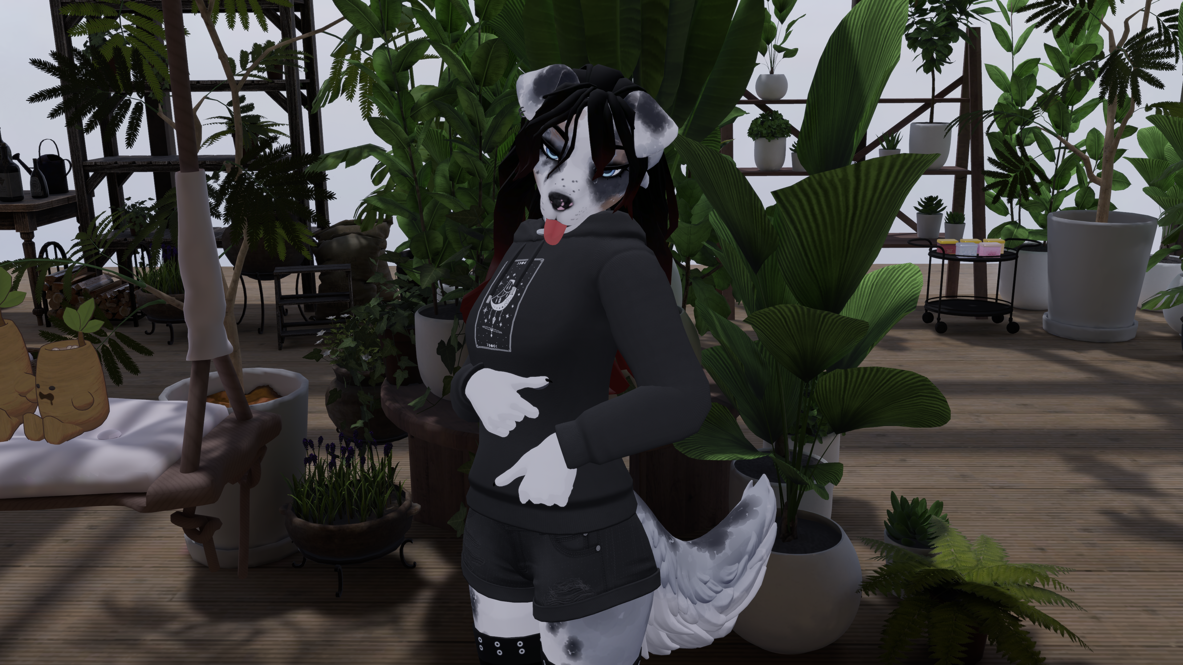 Winterpaw Fem Canine Blue Merle Texture