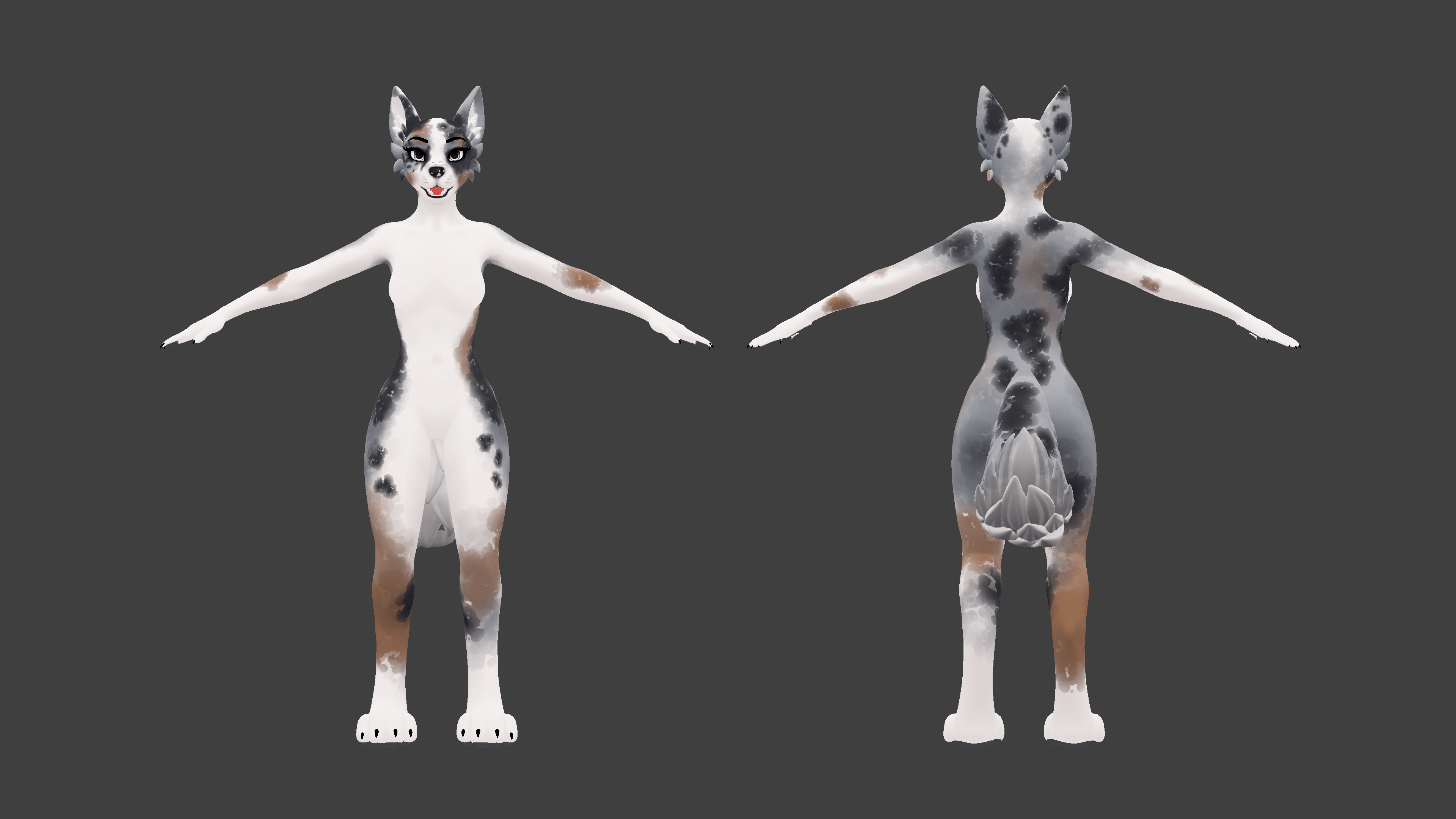 Winterpaw Fem Canine Blue Merle Texture