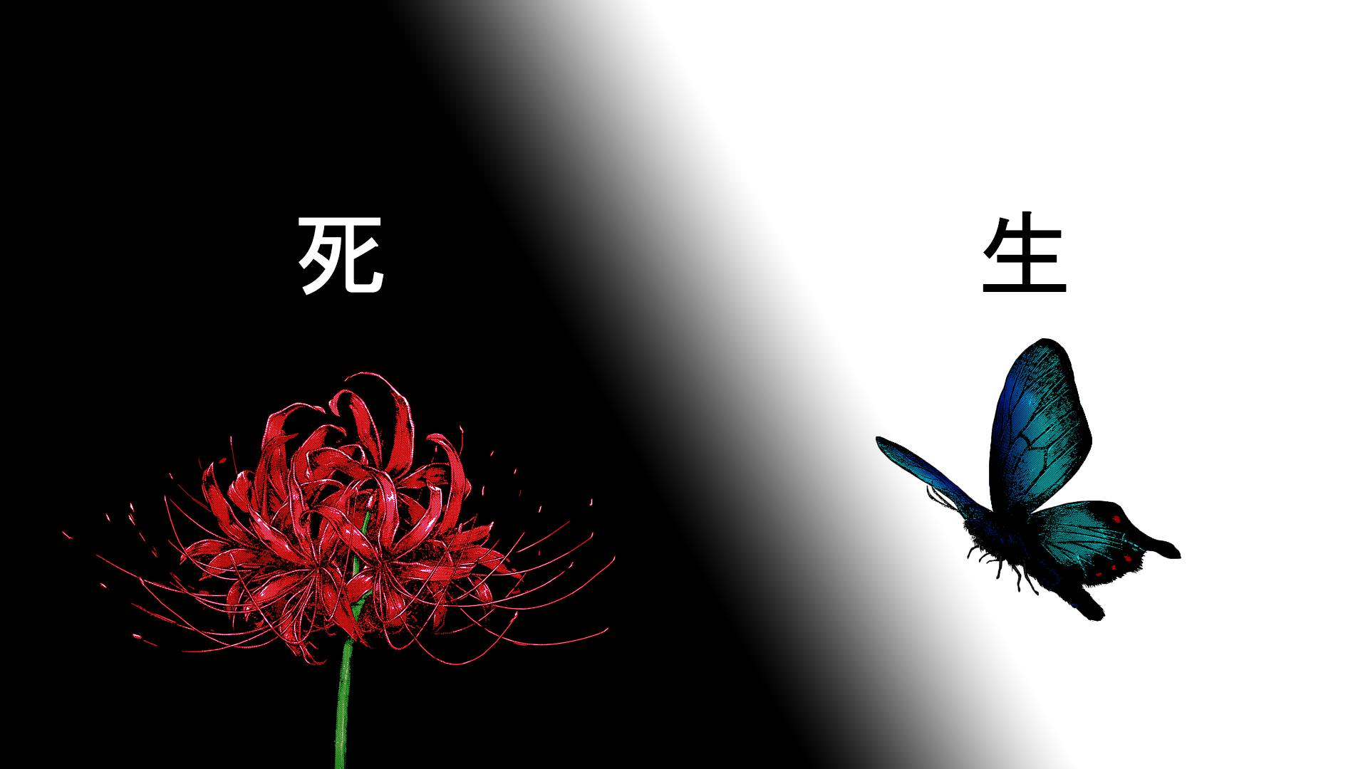 Banner Background