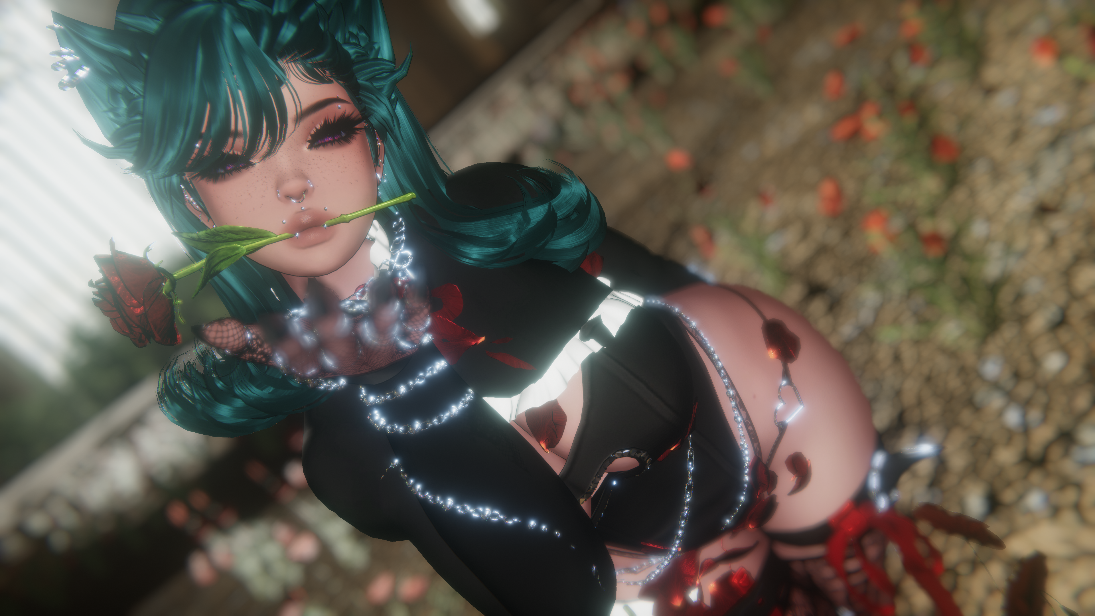 . ˚◞♡ ⃗ *ೃ༄ 𝒶𝓂𝑜𝓊𝓇𝒶 (PC+GoGo+OPTI)