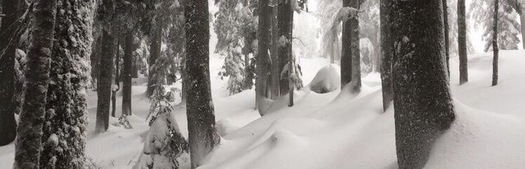 Banner Background