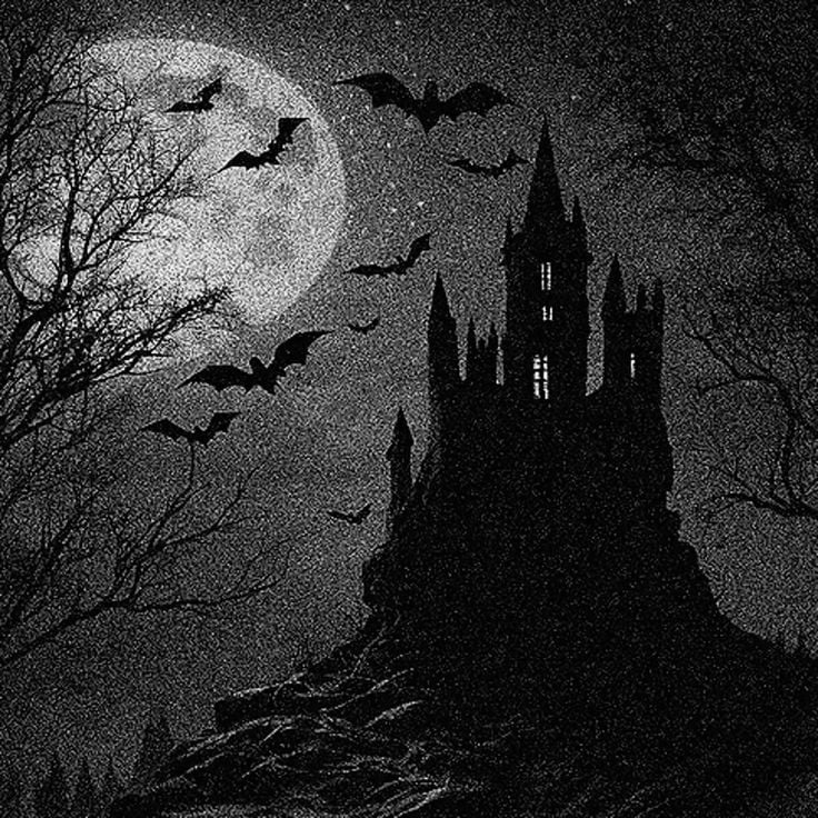 Banner Background