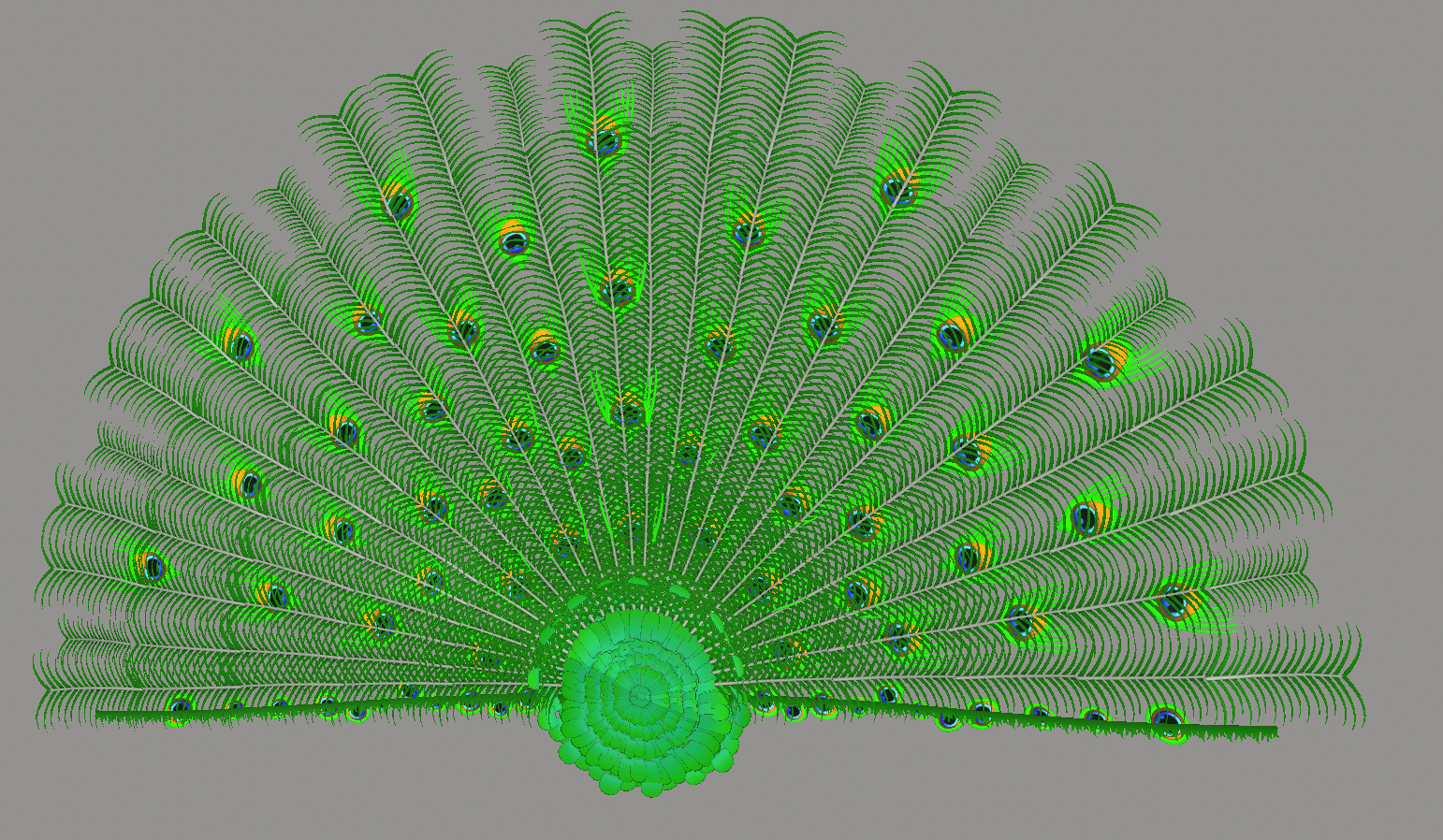 Peacock Tail
