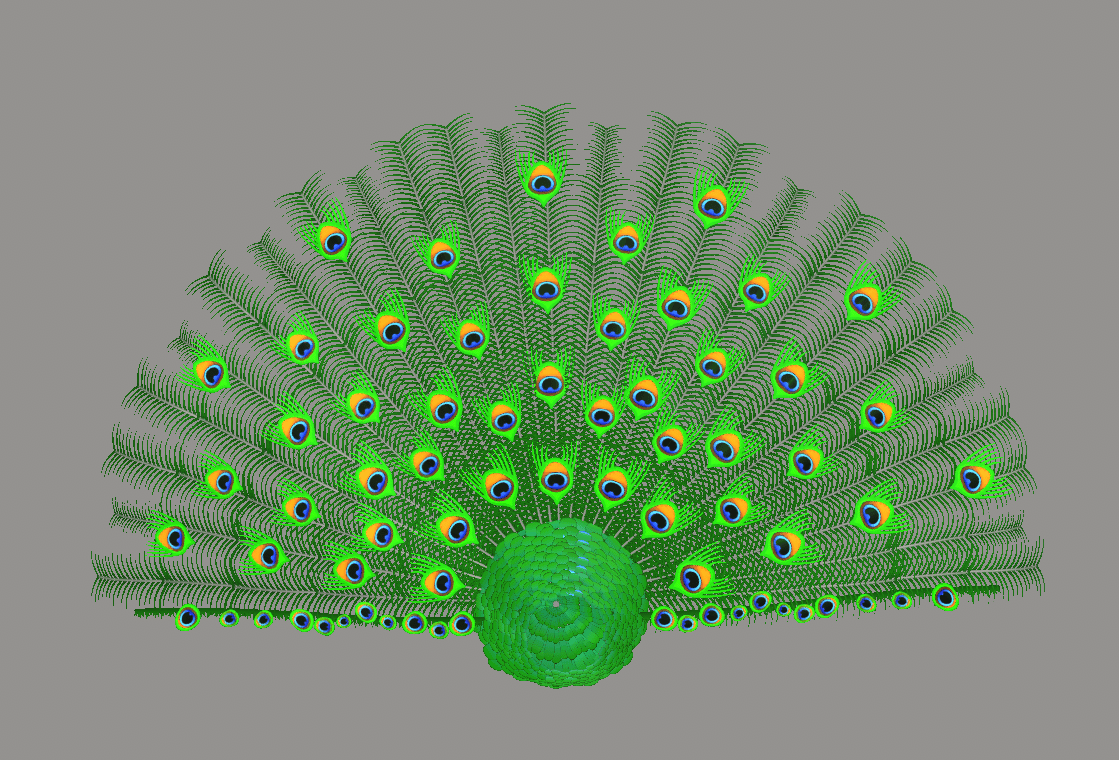 Peacock Tail