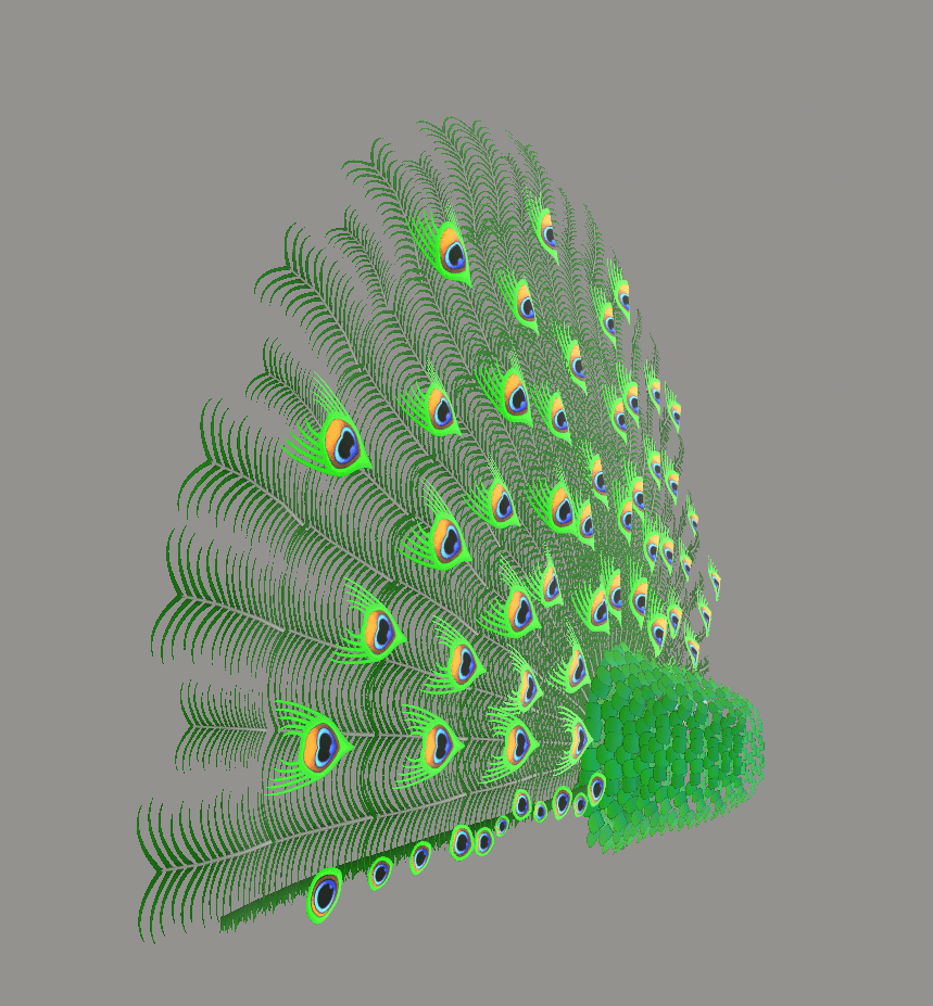 Peacock Tail
