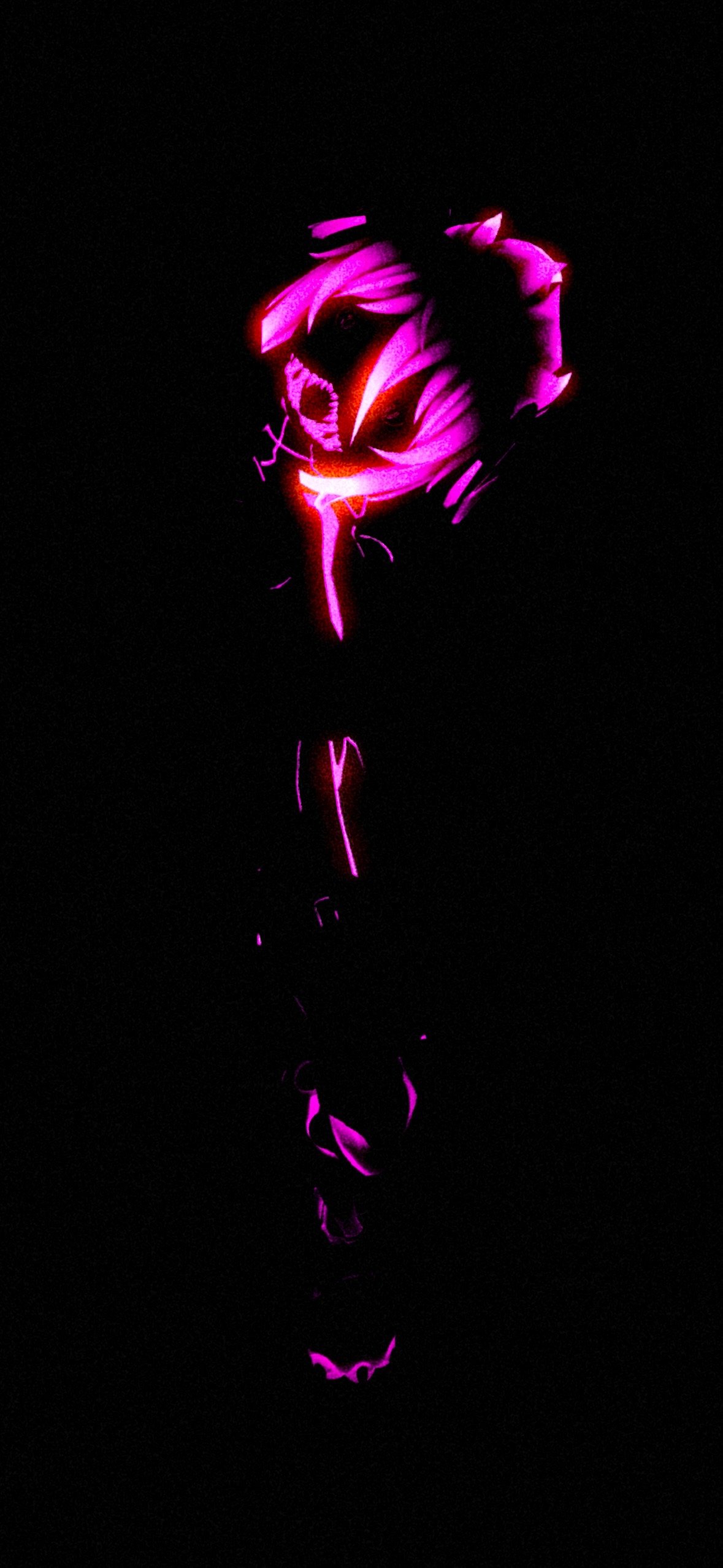 Banner Background