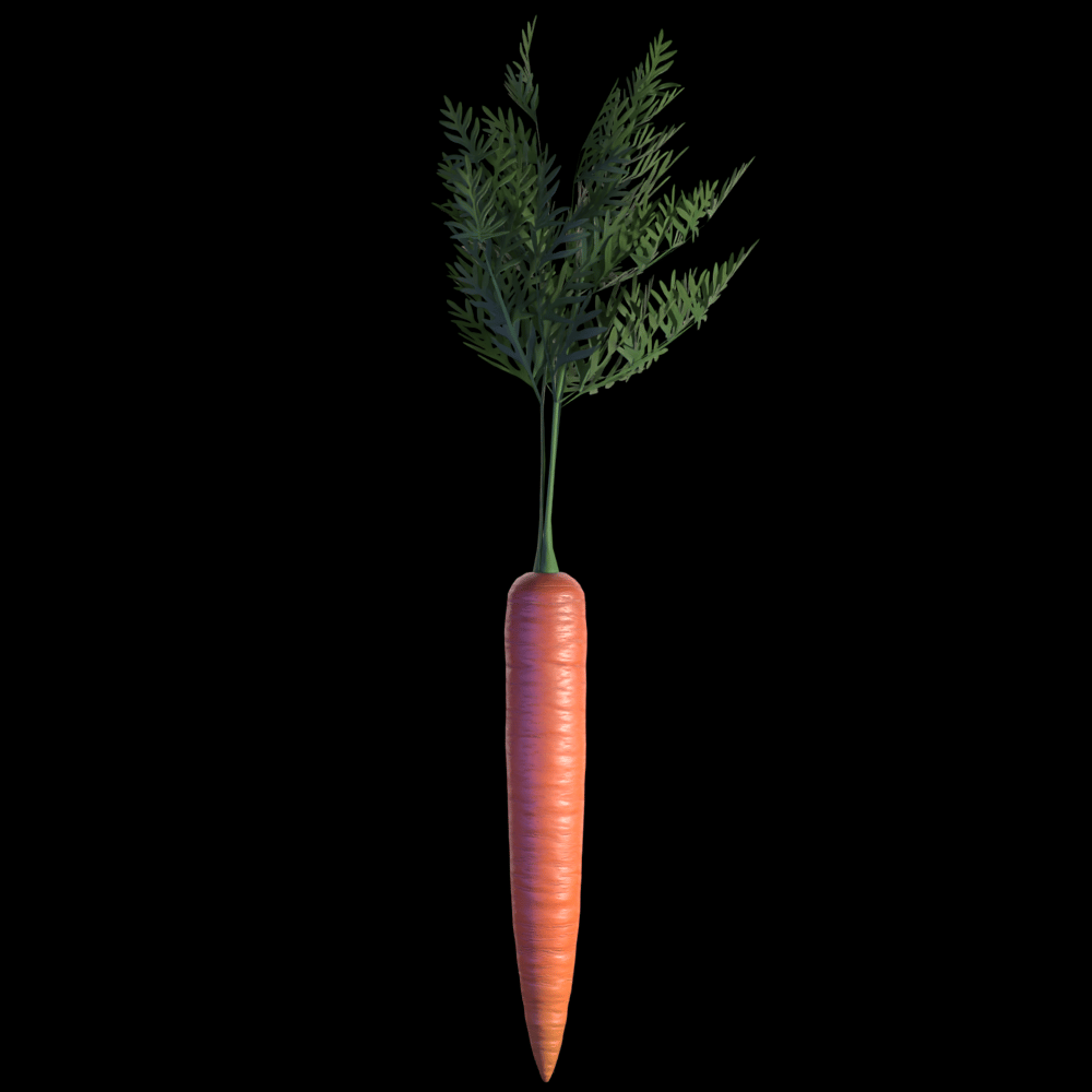 Carrot with physbones