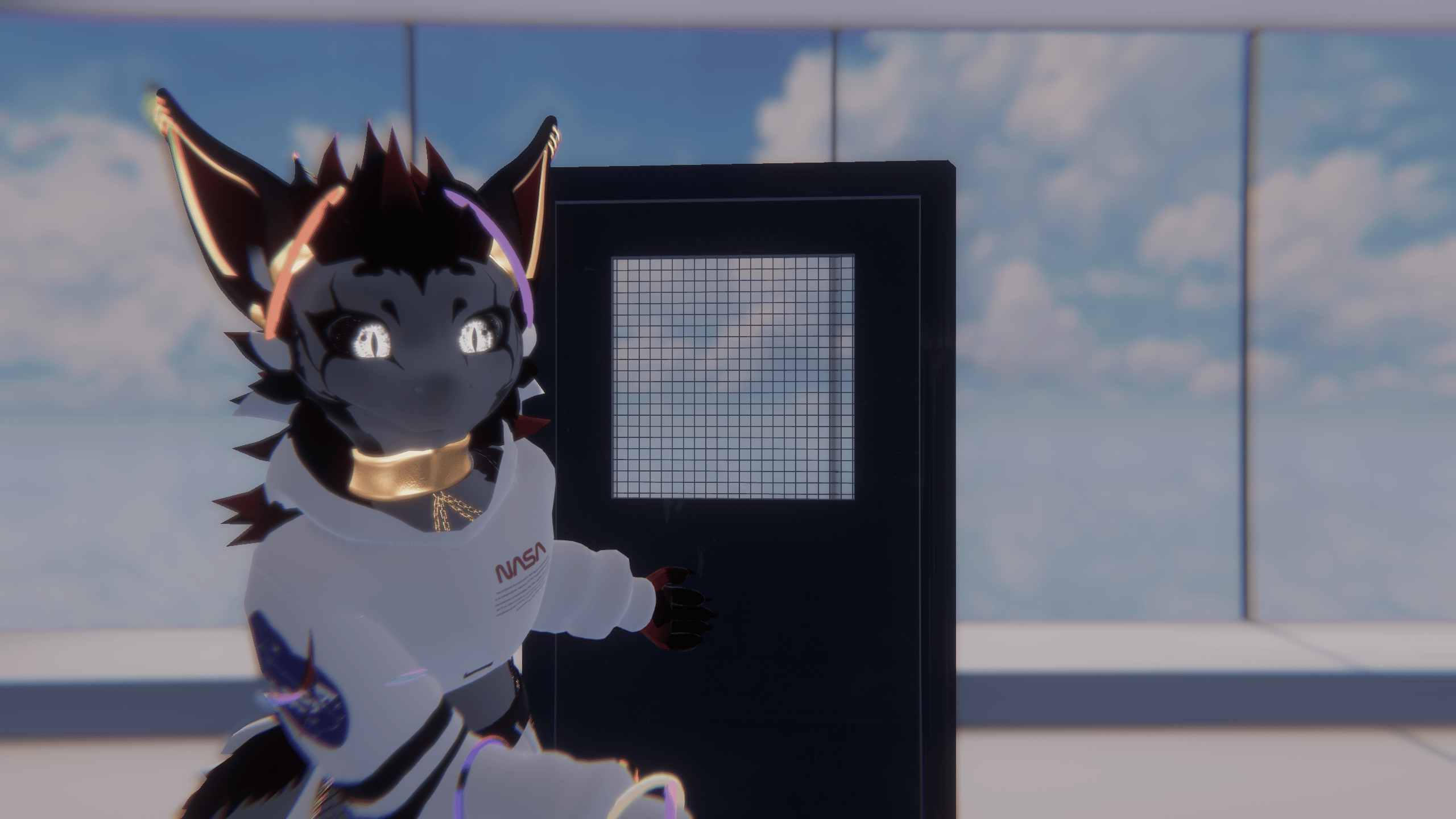 Door