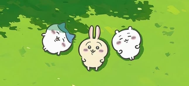 Banner Background